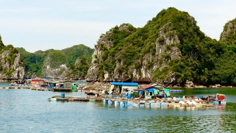 Halong Bay Cua Van floating village.jpg