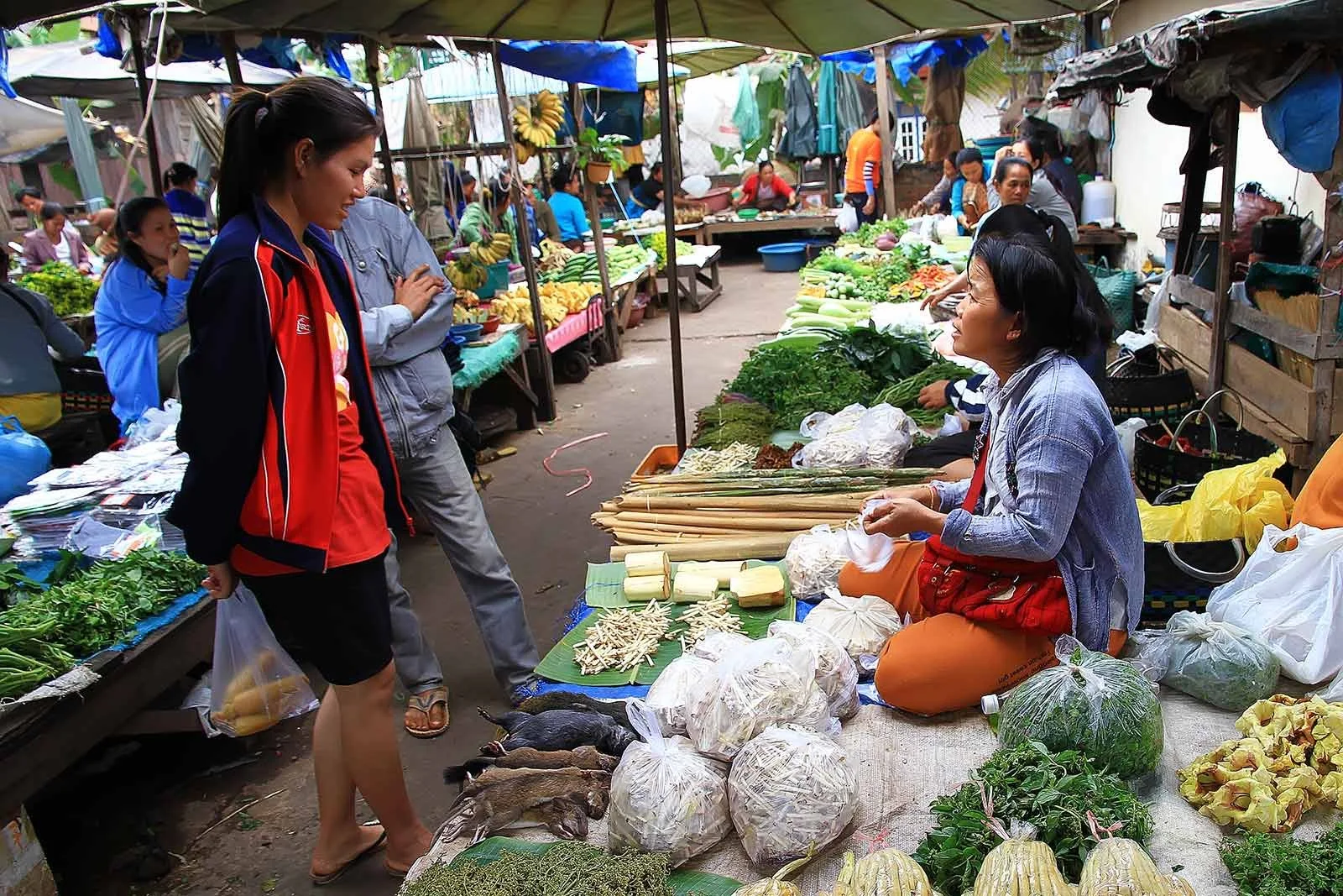 Luang prabang Local Market.jpg