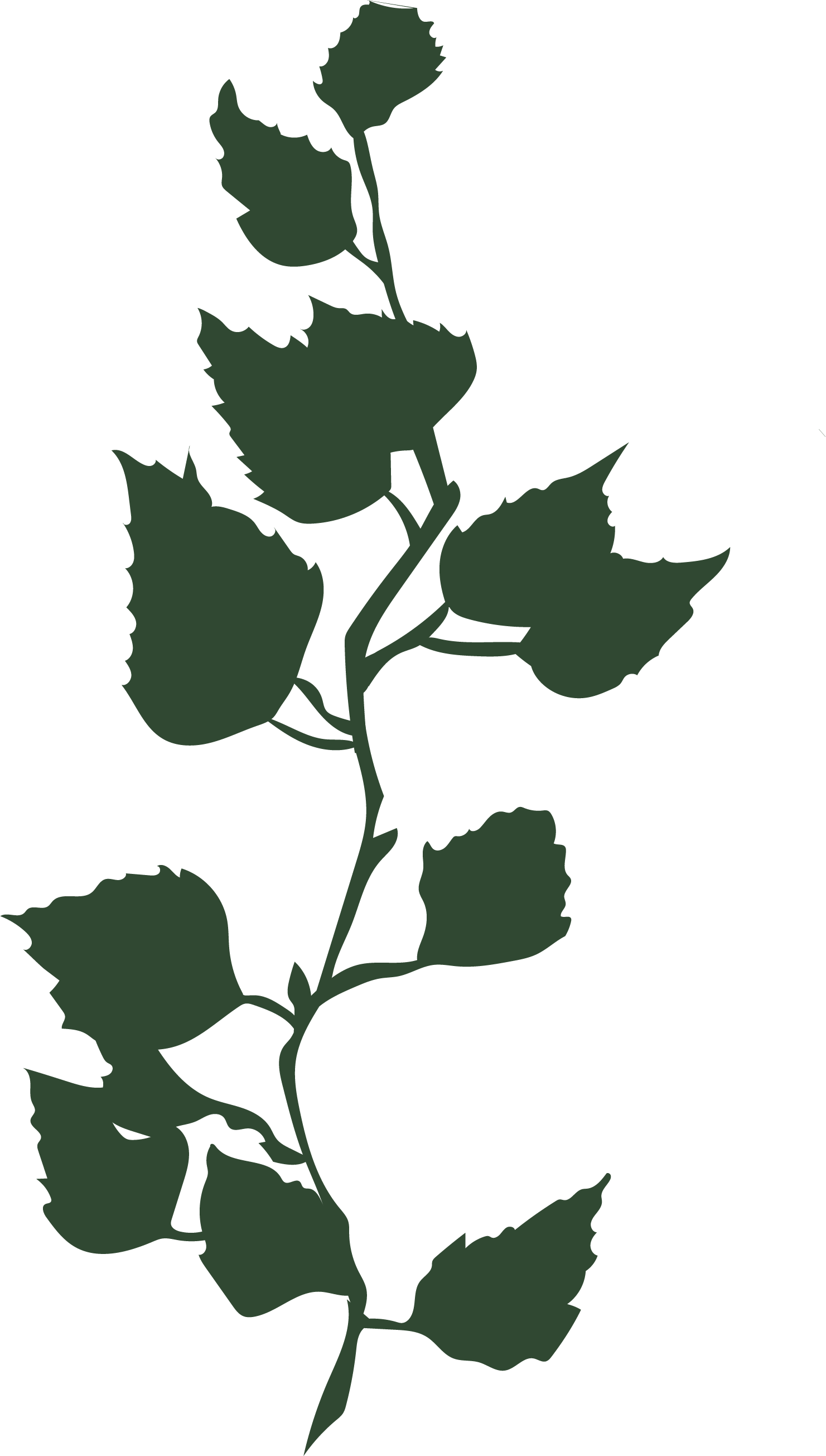 Psychiatrist NYC, Psychiatrist in New York