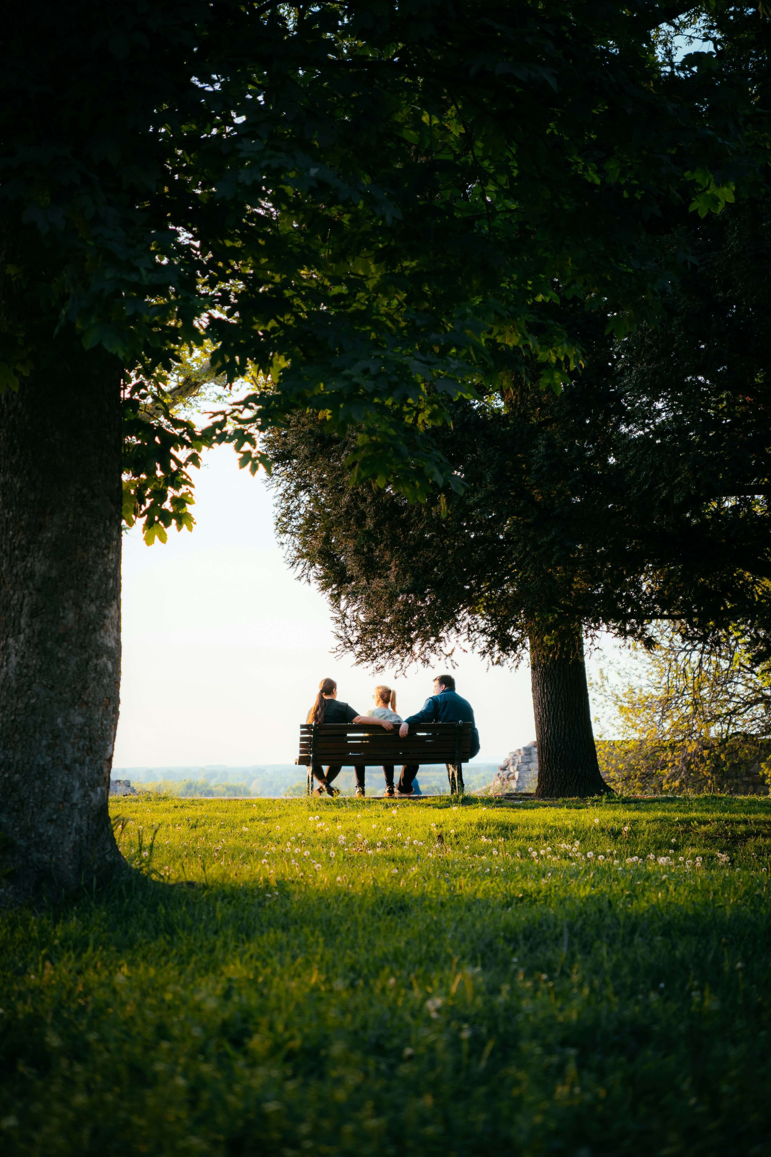 Three people sitting on a park bench under large trees, enjoying a view of the distant landscape during late afternoon or early evening.