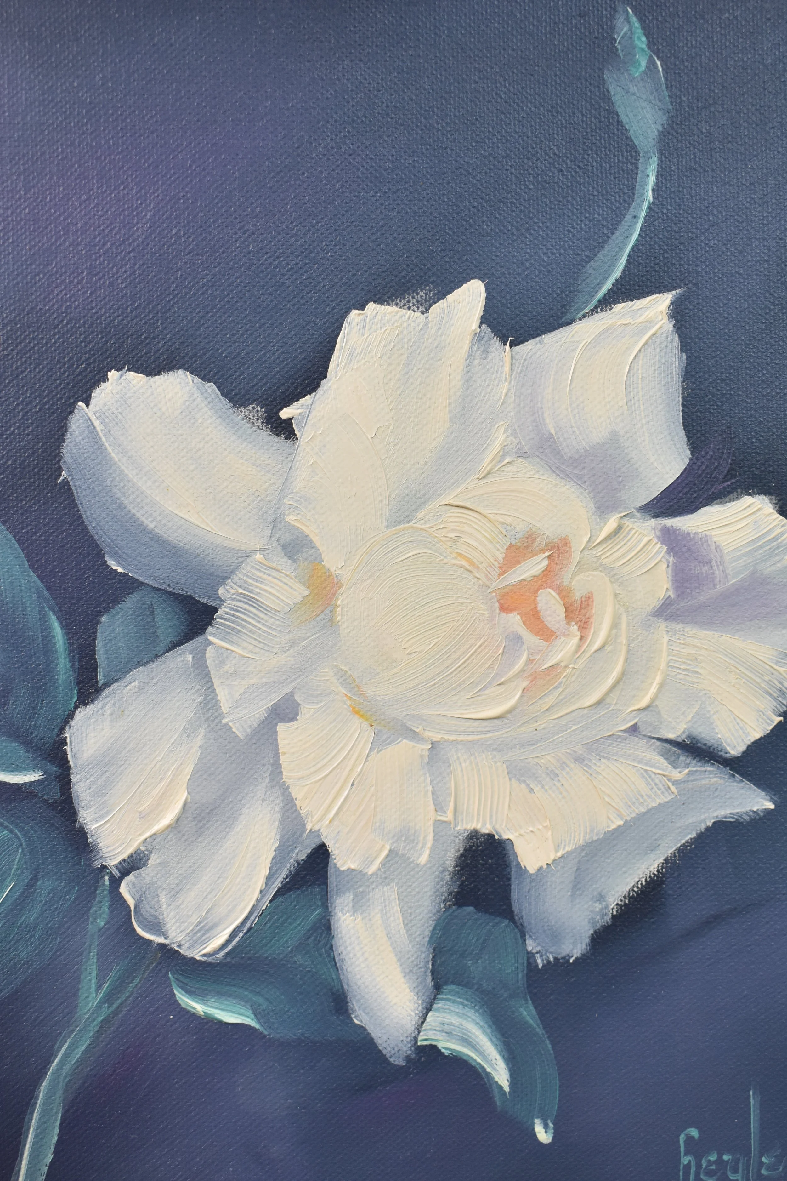 Gardenia