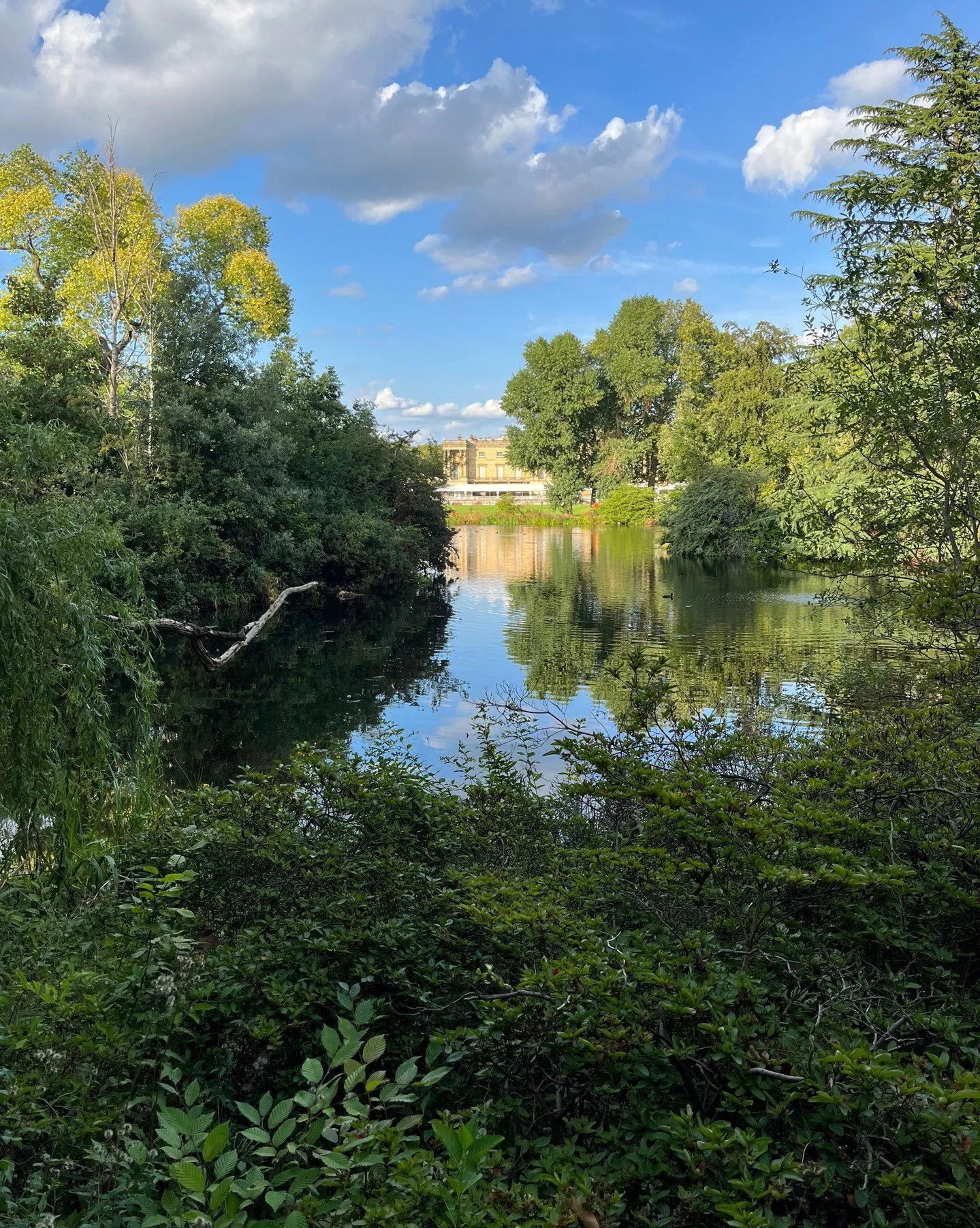 Color palettes borrowed from nature. 💙 💚 🩵 

Swipe to see the connection between landscape 
and canvas &rarr;