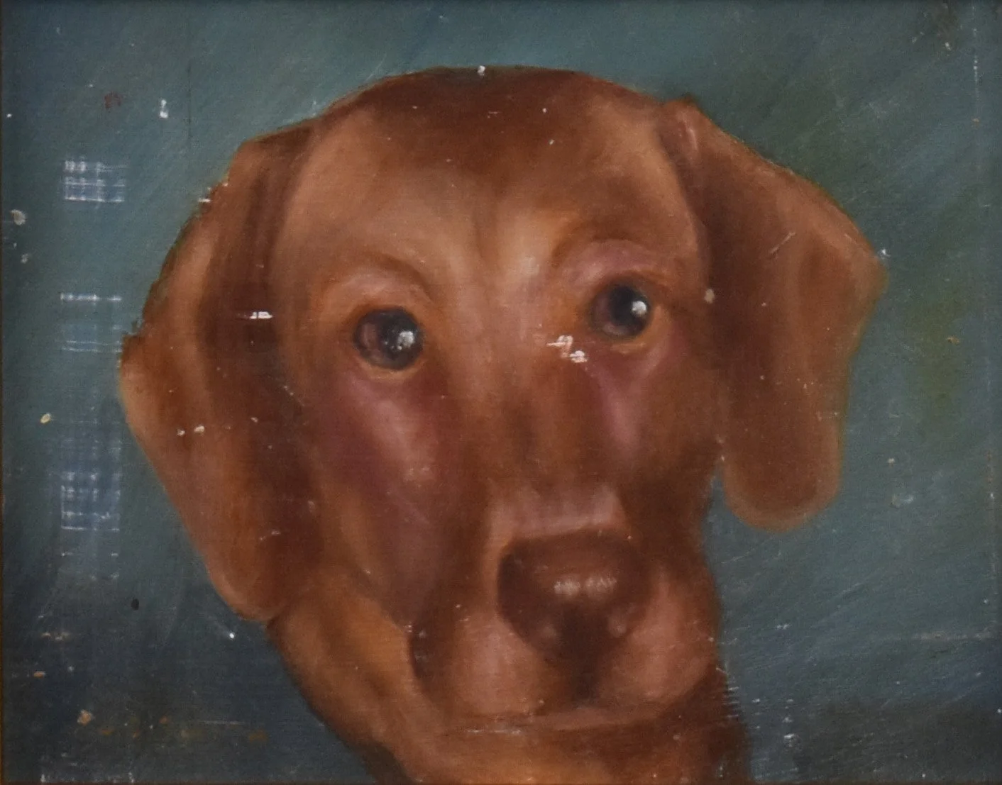 Brown Dog