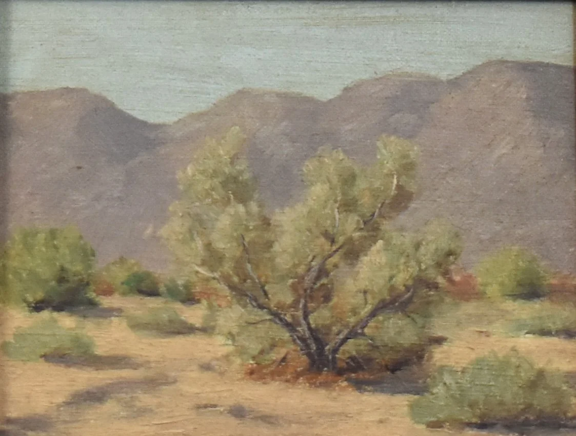 Mesquite Tree