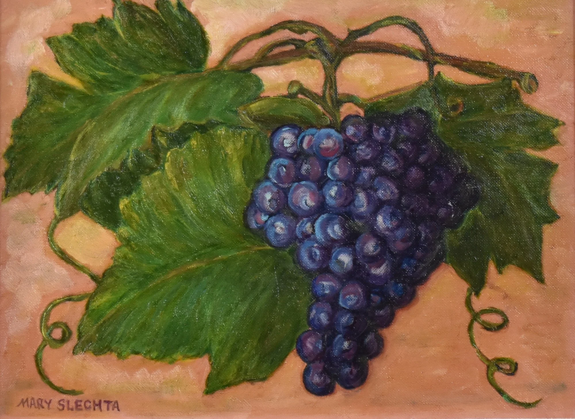 Grapes Still Life