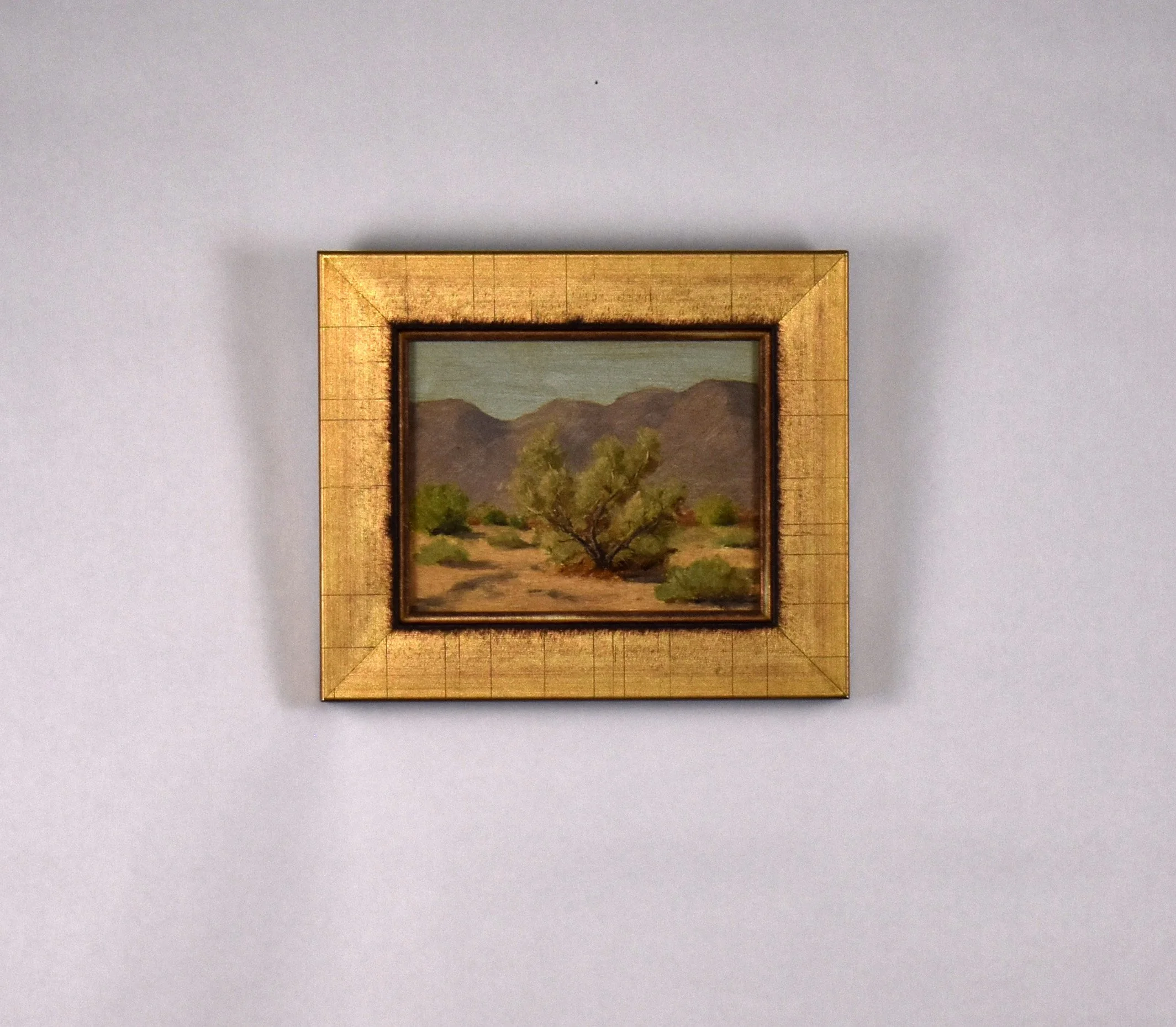 1017_Mesquite Tree_alt.jpg