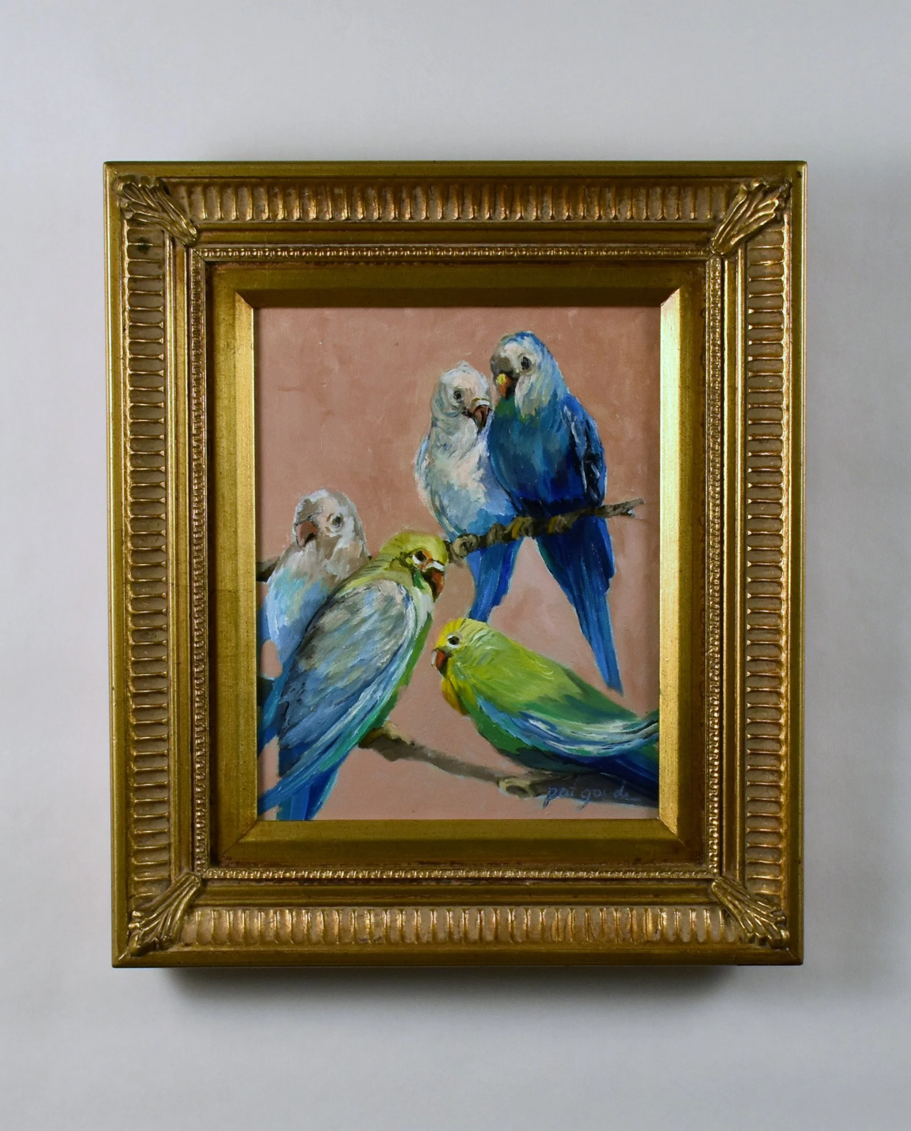 Sweet Parakeets