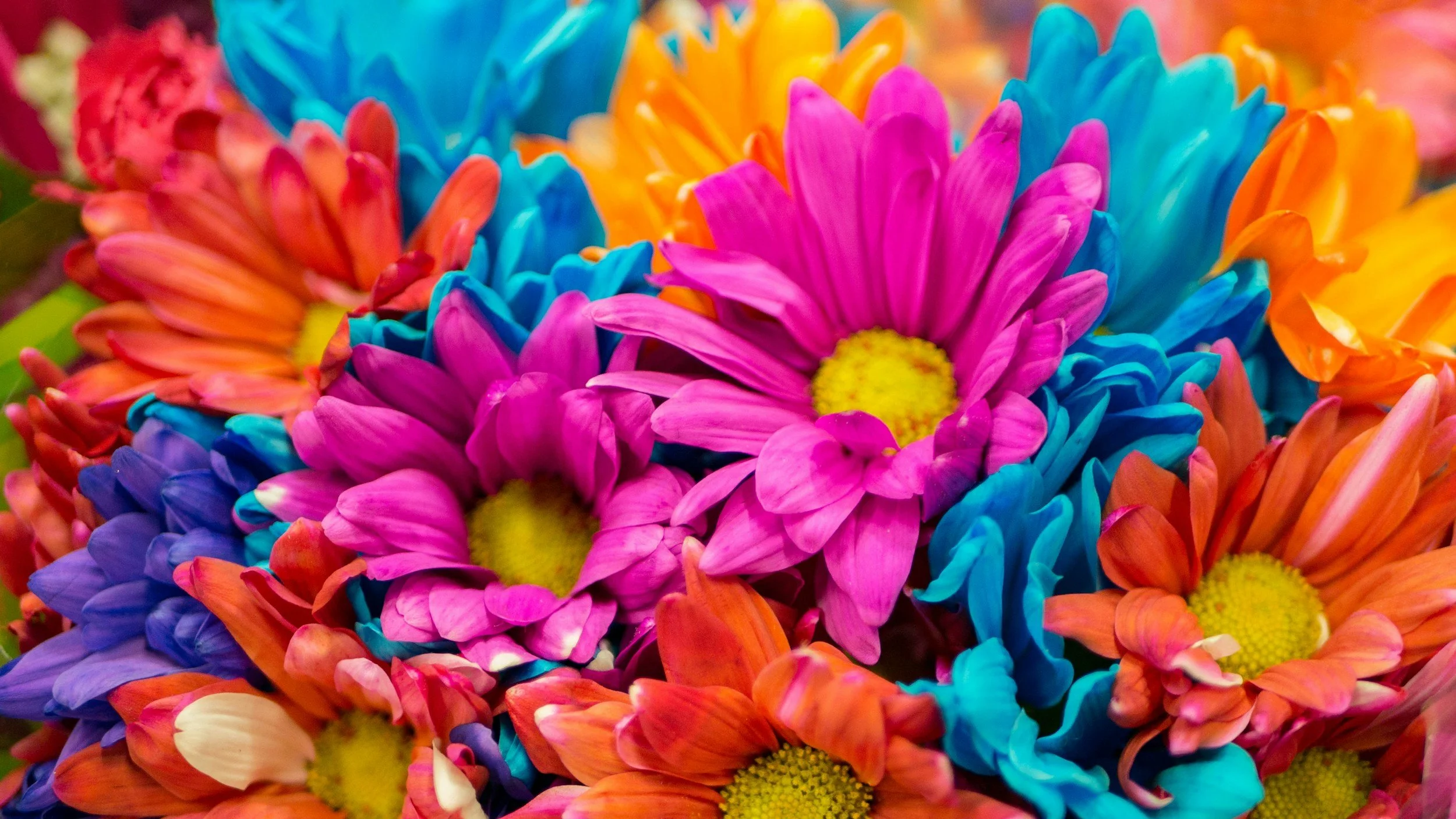 Live Your Life in Full Color