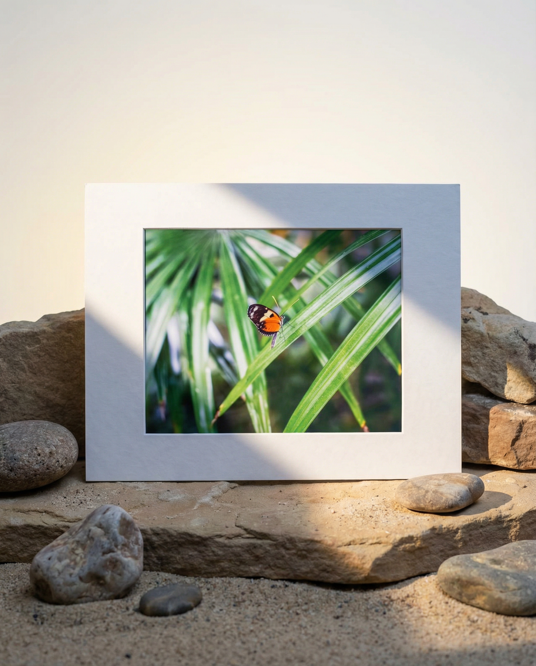 Film Photograph (Saint Louis, MO)