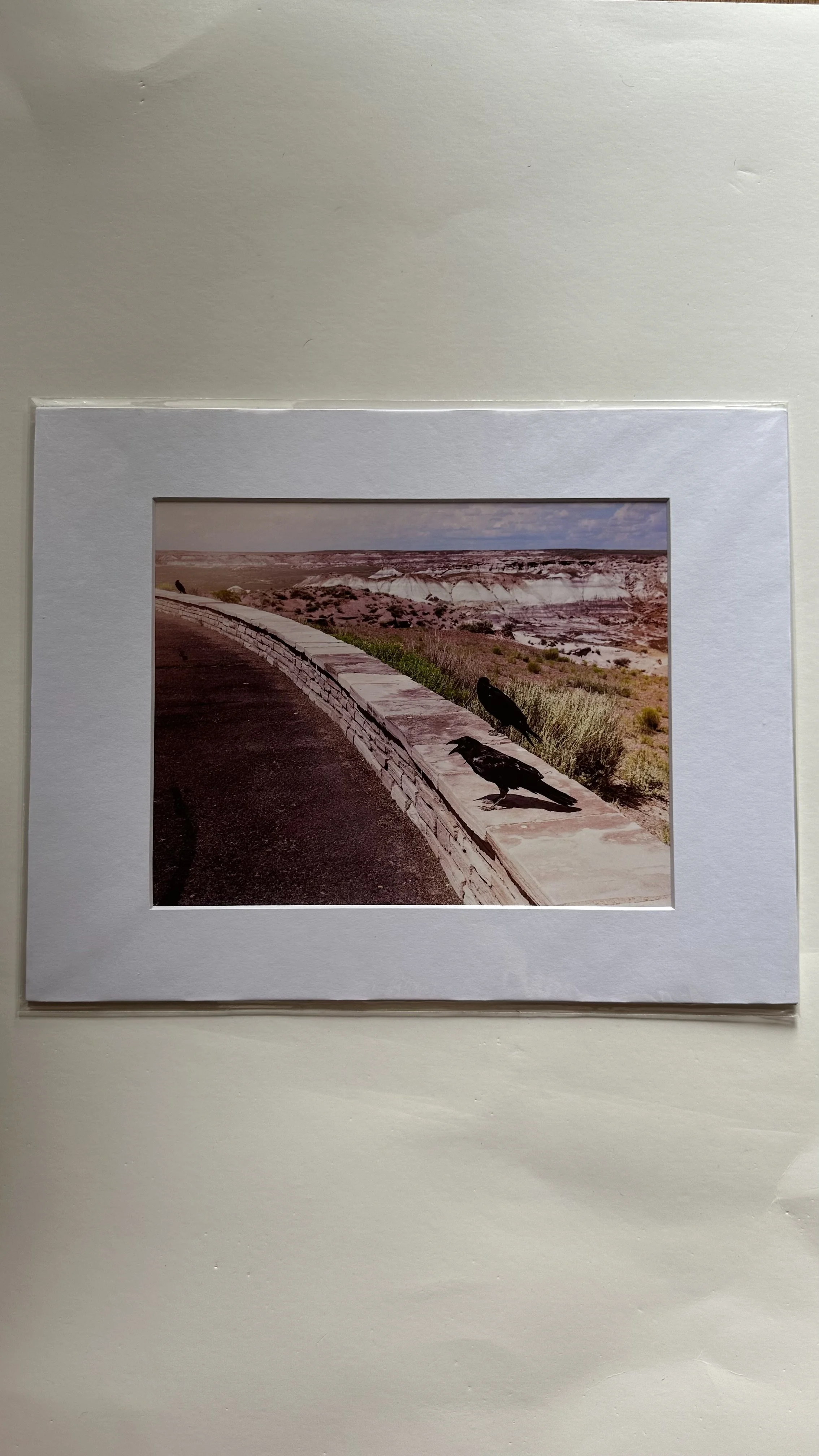 Film Photograph (Madrid, NM)