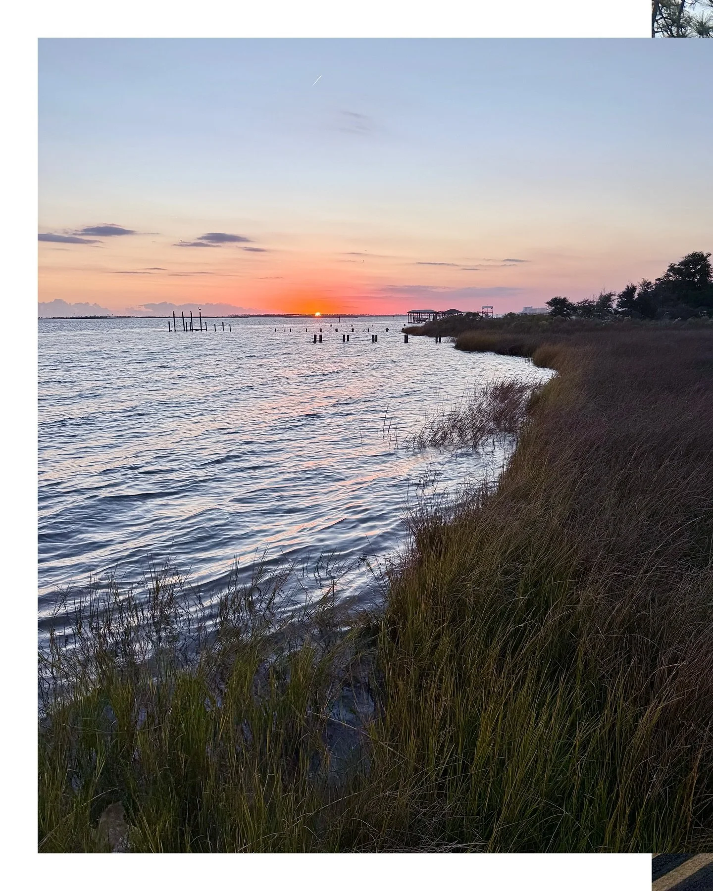 Fell head over heals for the Mississippi coast.
Art on every corner,
Spanish moss like slow prayers in the wind,
peach cobbler for dinner, sand in the car,
and somehow, new friends in New Orleans. 

☁️

#VanLifeWomen #NomadicArtist #VanLifeDiaries #W