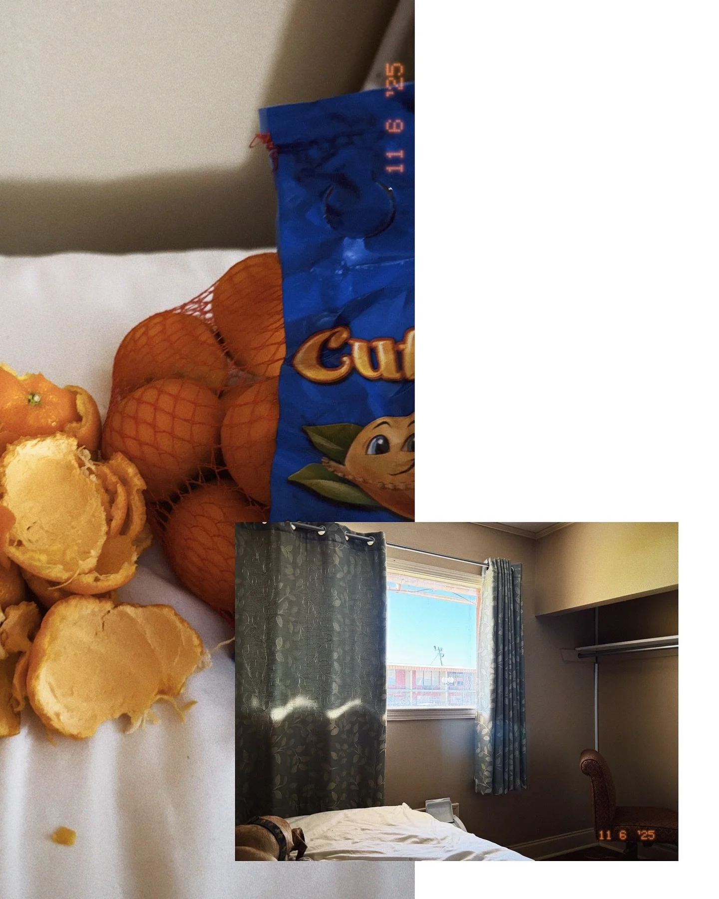 Louisiana motel era.
Trusting the unfolding.
No idea where next.
Met a cool artist. Hope he stays steady.
Trying to stay sober.
Dogs in motel beds, fridge full of Diet Coke.
Sleep is not my friend lately.
ERs don&rsquo;t like when you don&rsquo;t hav