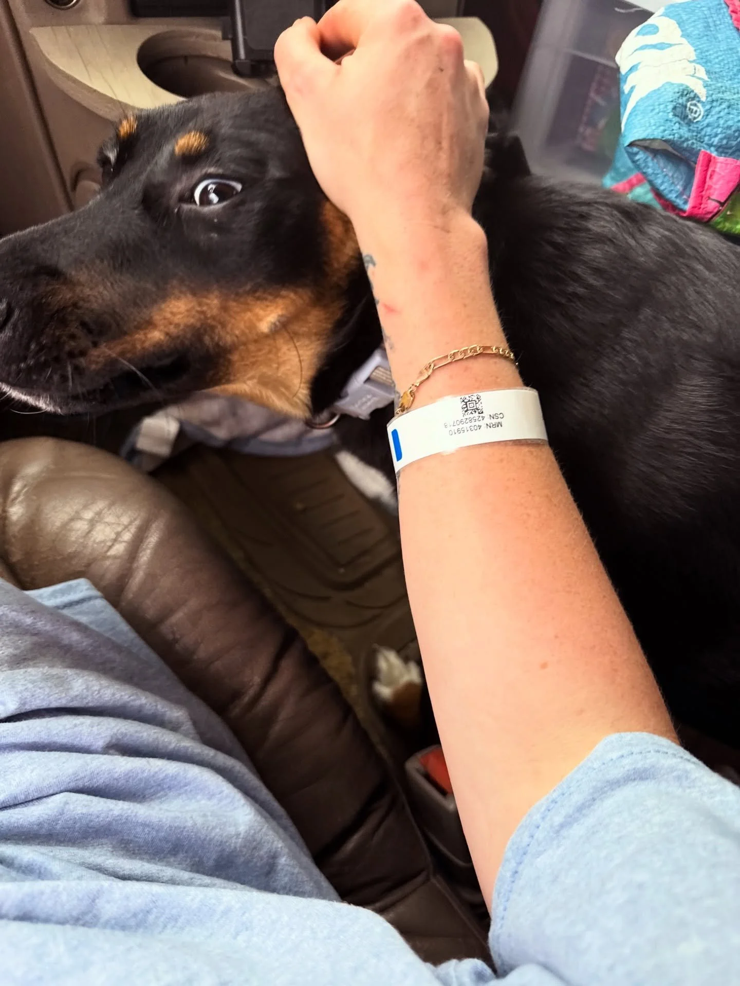 Dog break in the ER parking lot bc #sickosinglemomofthree I need a coma and probably don't want to know what the code colors mean. Scout and I are excited to go somewhere outside after this.