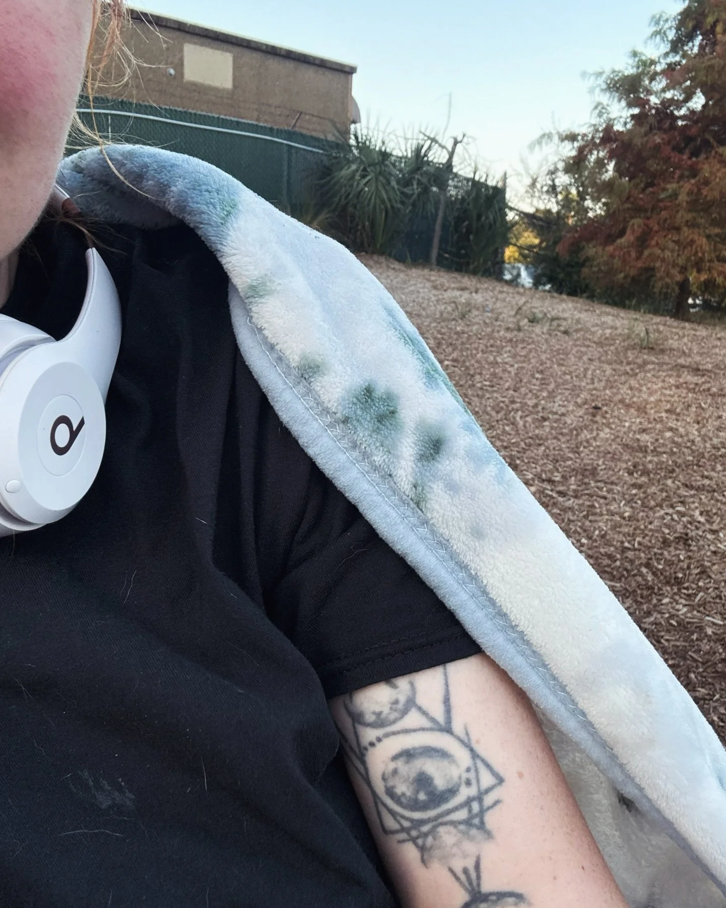 Higher power be up to something. Dogs in the back. Been saying I wanted to live in NM for almost a decade. Why not? Let's gooooo. Fleeing back to my warmer weather.🌵☀️