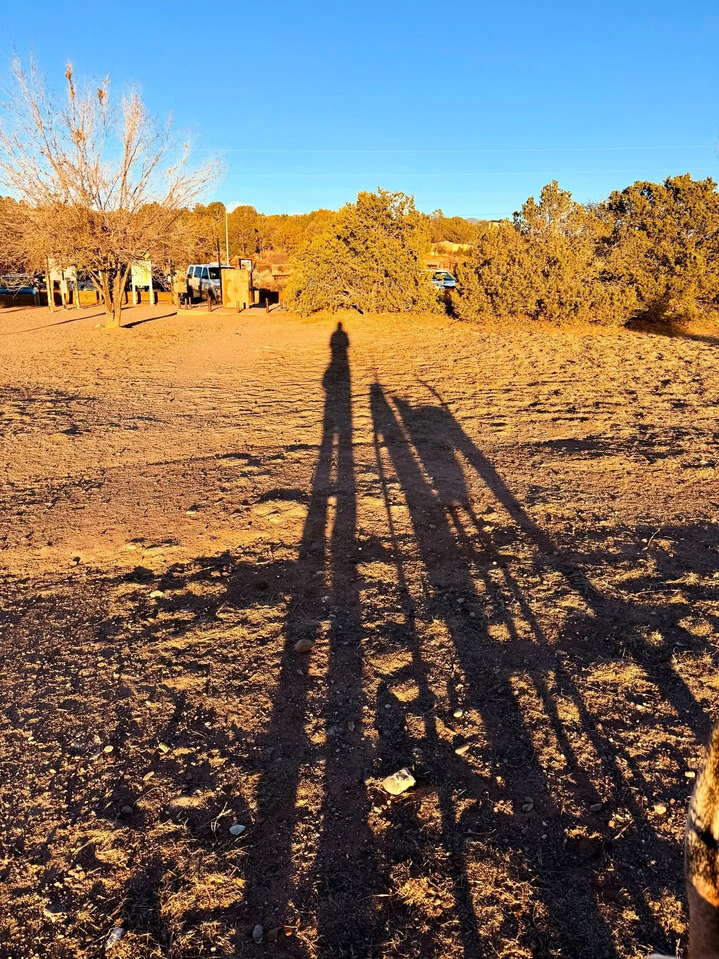 Landed in Santa Fe after a five-day blur of states, gas stations, dog parks, body sore from shivering and one sunrise in Wyoming so gorgeous it nearly turned me religious.

Sushi dinner. North America&rsquo;s biggest dog park (120+ acres!!). A cool n