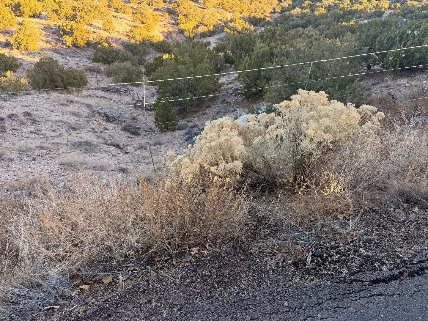 &ldquo;It is not about withdrawing from the world. It is about choosing where our energy goes. Choosing what we nourish.&rdquo;
- @adrienelouise 

Mantras for hard times. Ready for the winter solstice and longer days. So so grateful to have Scout hom