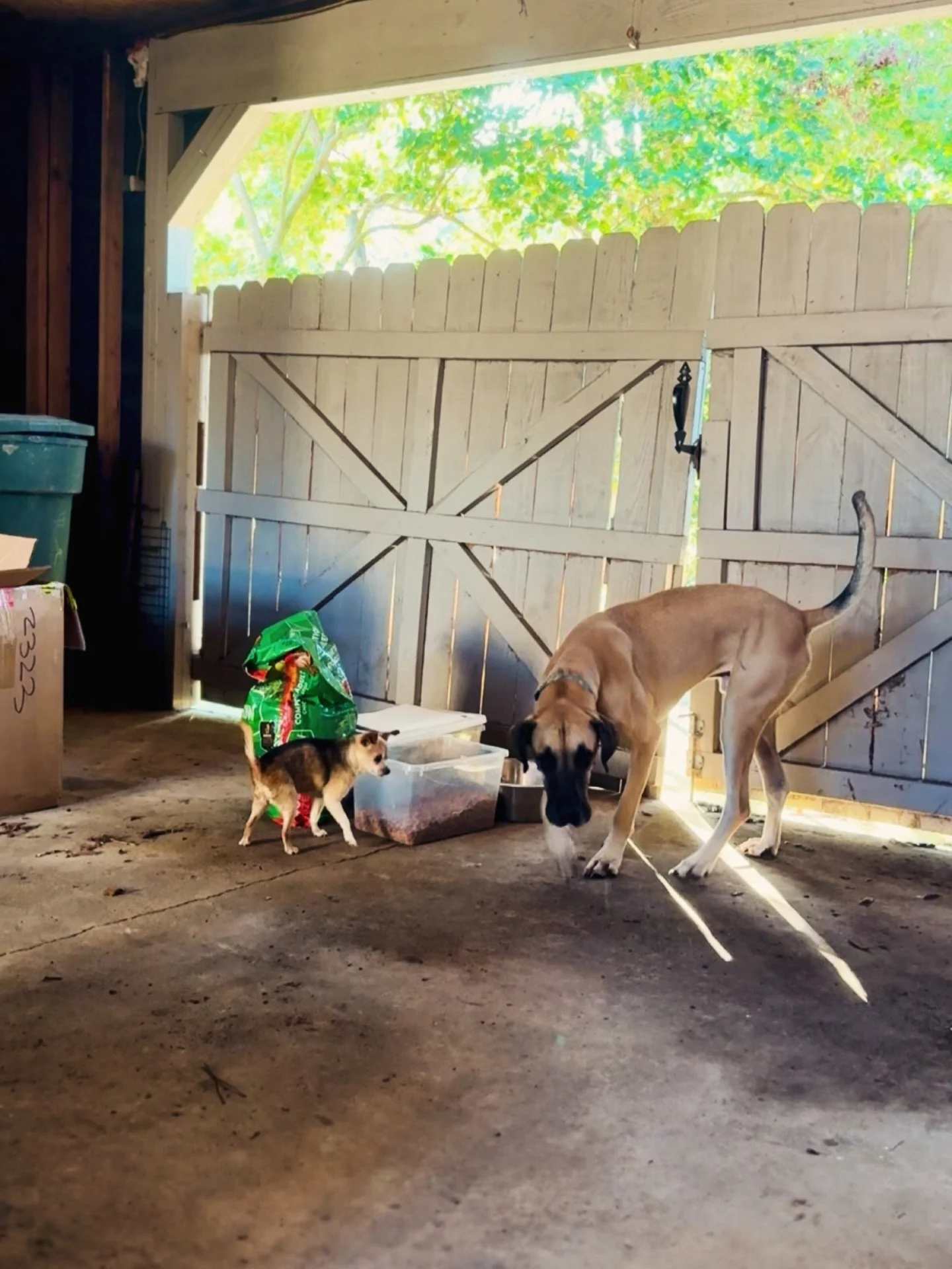 Five True Things:

1. Even the wind is trying to bring my lost dog home to me.

2. A judge in Birmingham has pressed a hand over my mouth twice. #believewomen 

3. Strange, then, that I finally feel surrendered.

4. Each of my fears grows from two sm