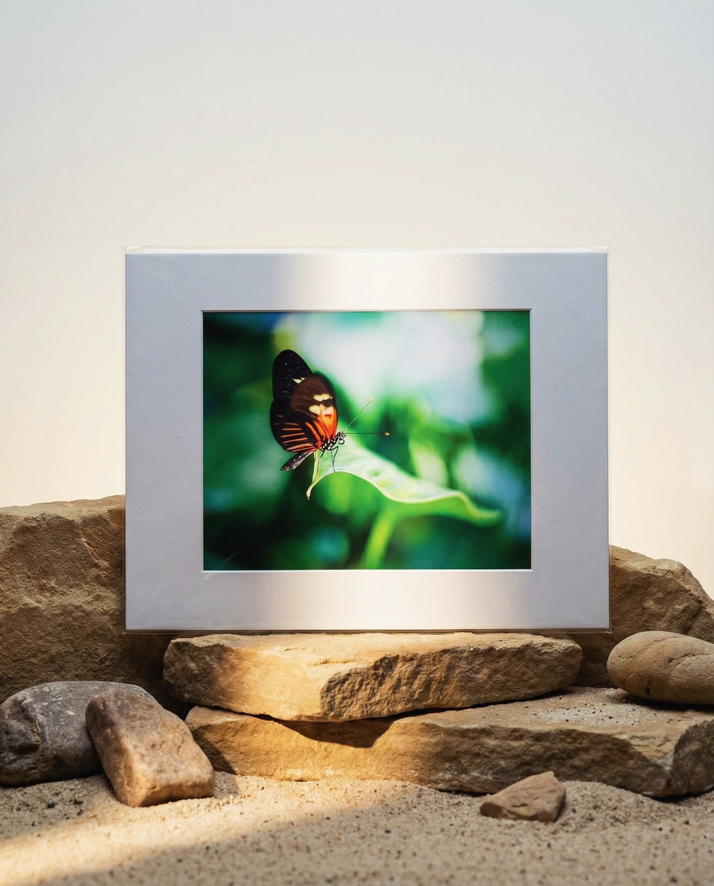 Discounted single-edition film prints from 2025 for today