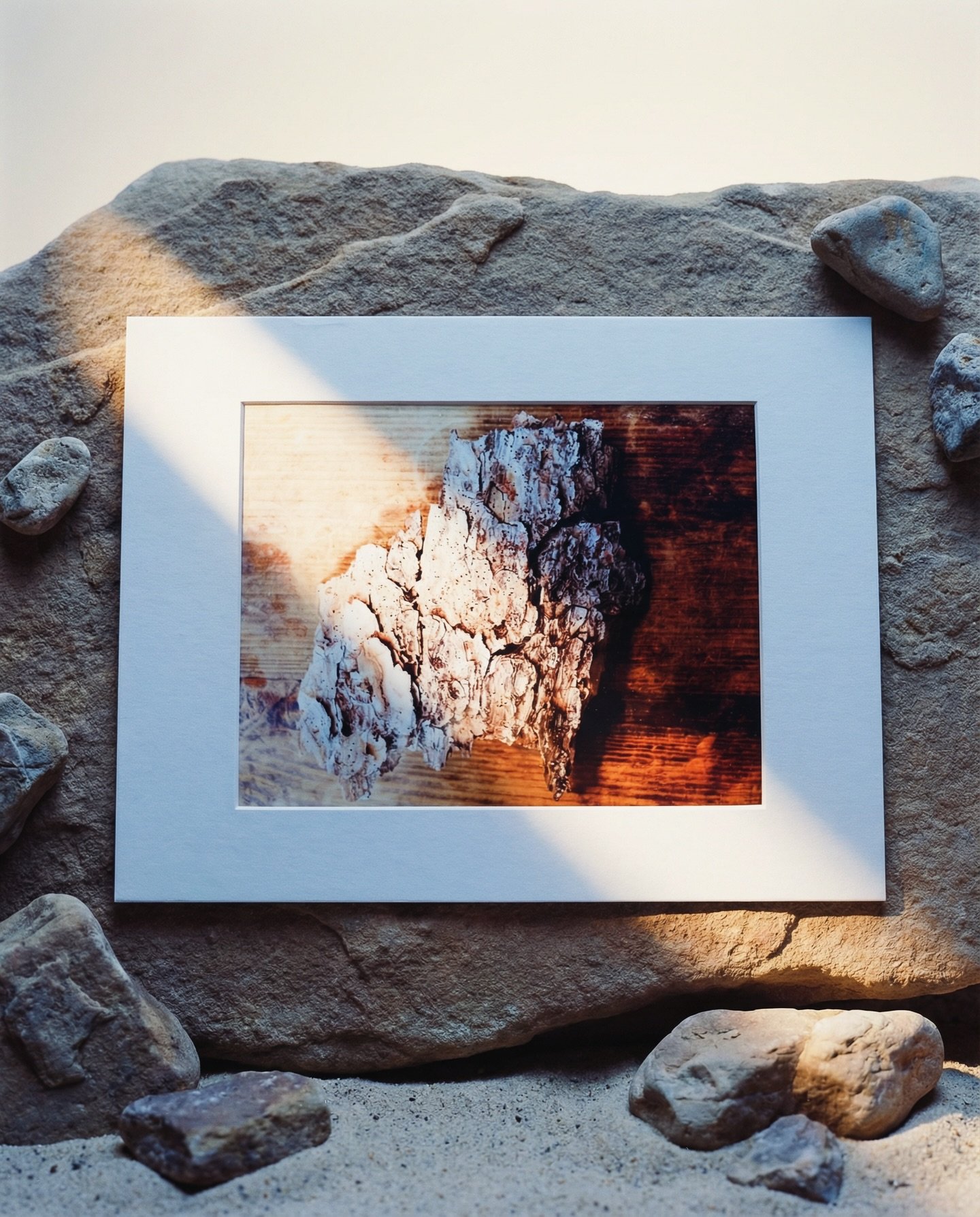 Last day of 2025 = film prints are discounted. If you&rsquo;ve been eying one, now is best time.