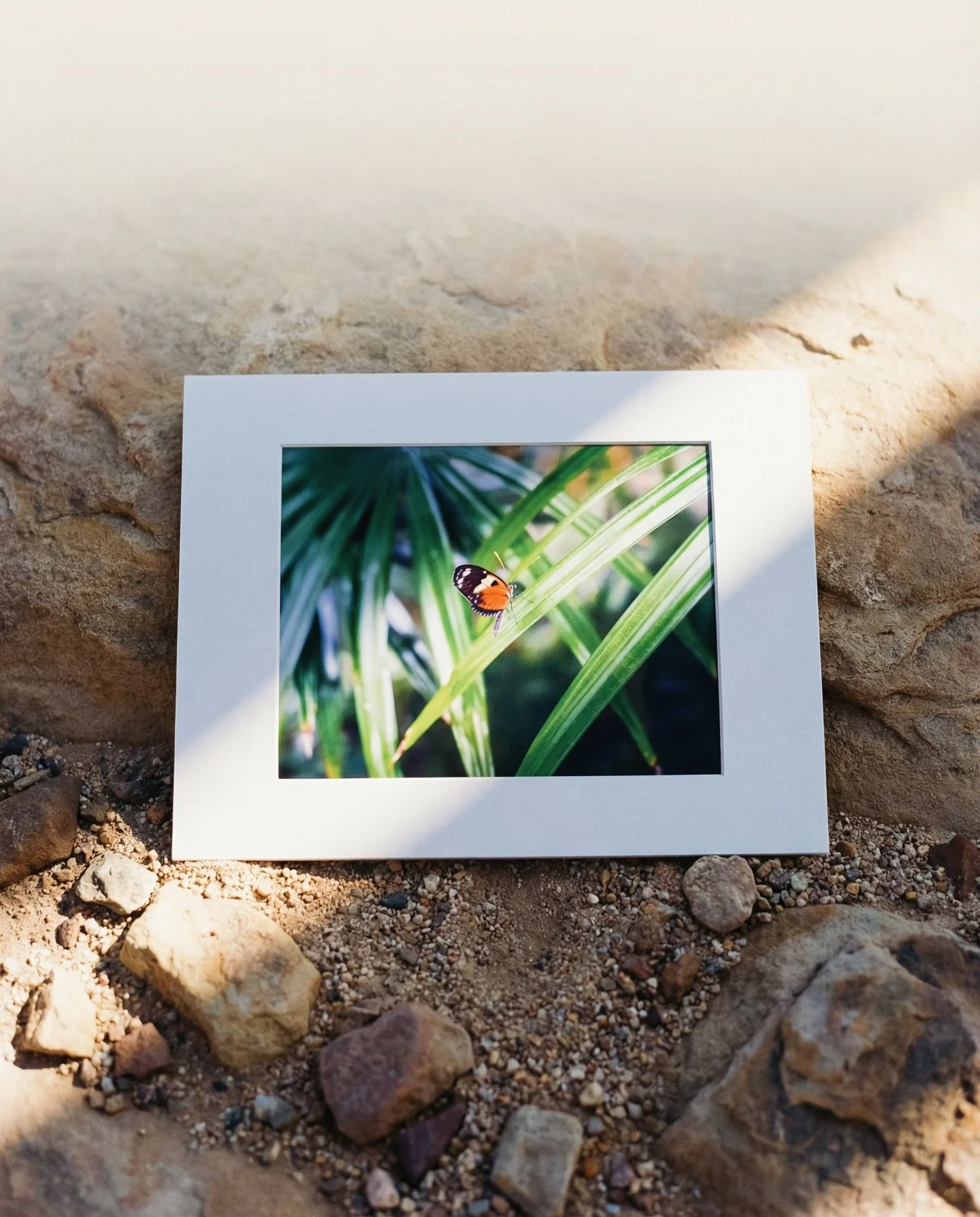 Accidentally nocturnal again oops