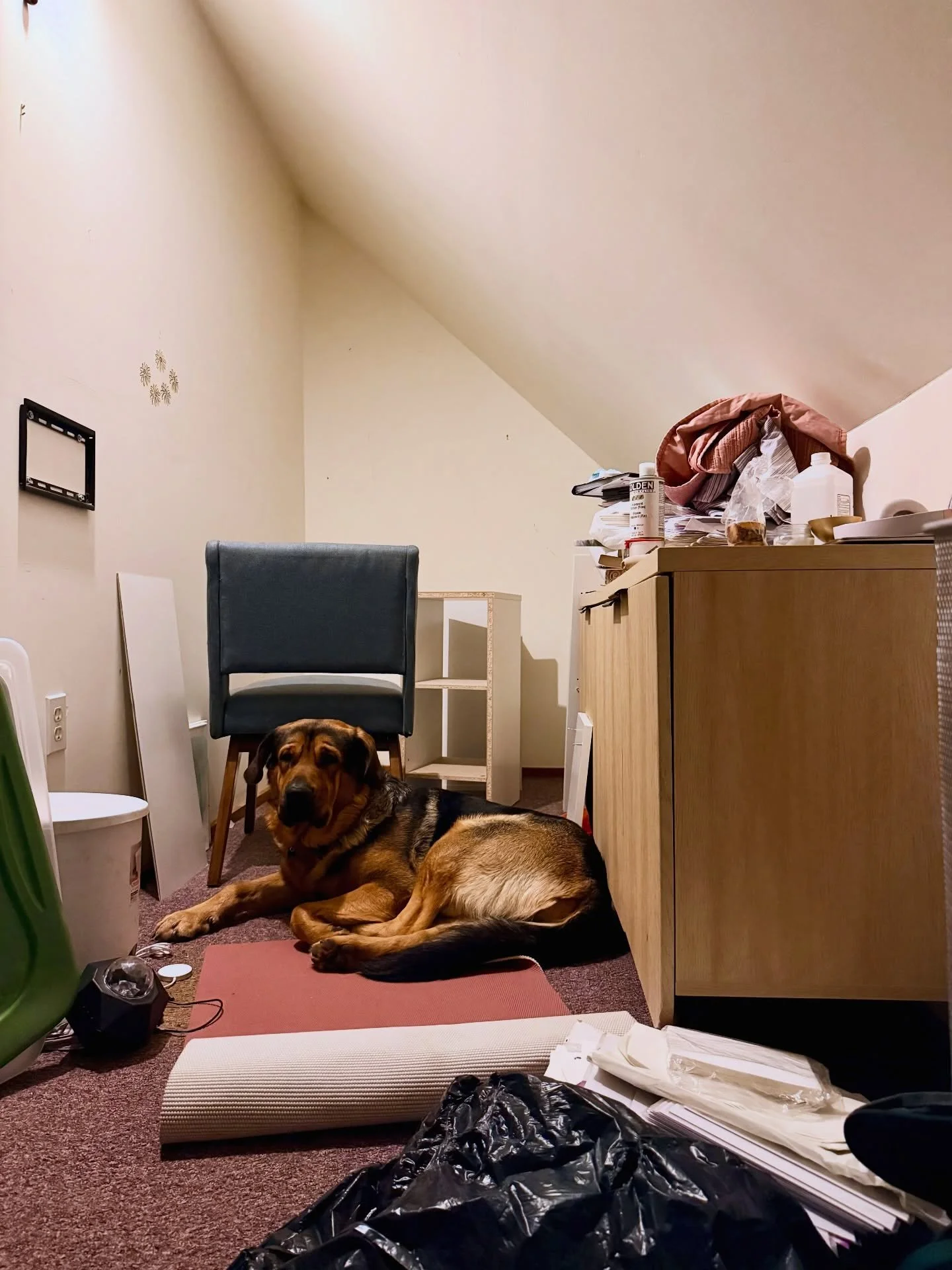 Nesting in in Michigan, grateful to be an indoor cat 🐈&zwj;⬛