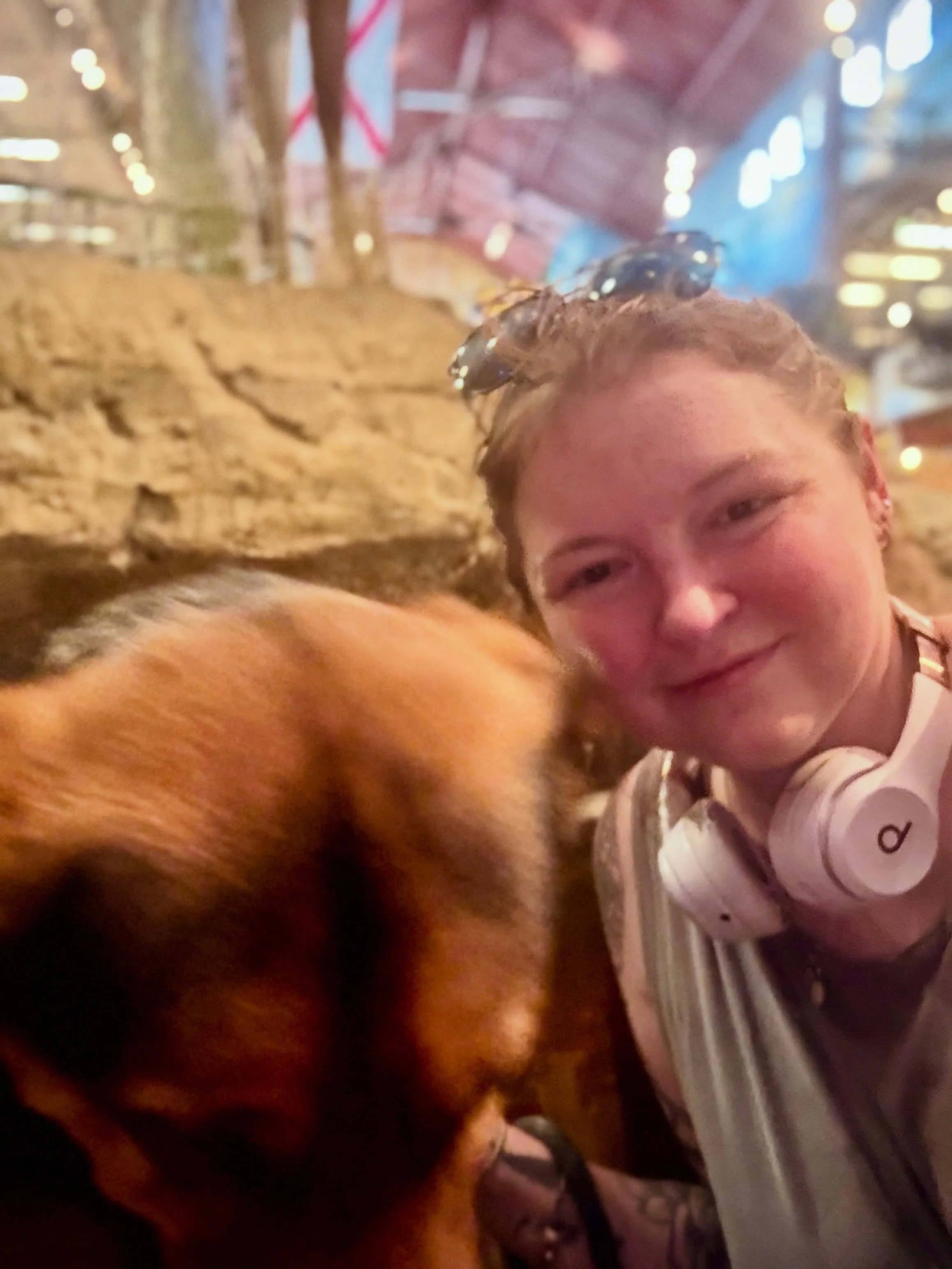 Officially training this 120-lb good boy to be a service dog to help me with some brain/body stuff. He&rsquo;s not dumb, he apparently just doesn&rsquo;t care at all what I have to say unless I am holding cheddar. This is about to be a really, really