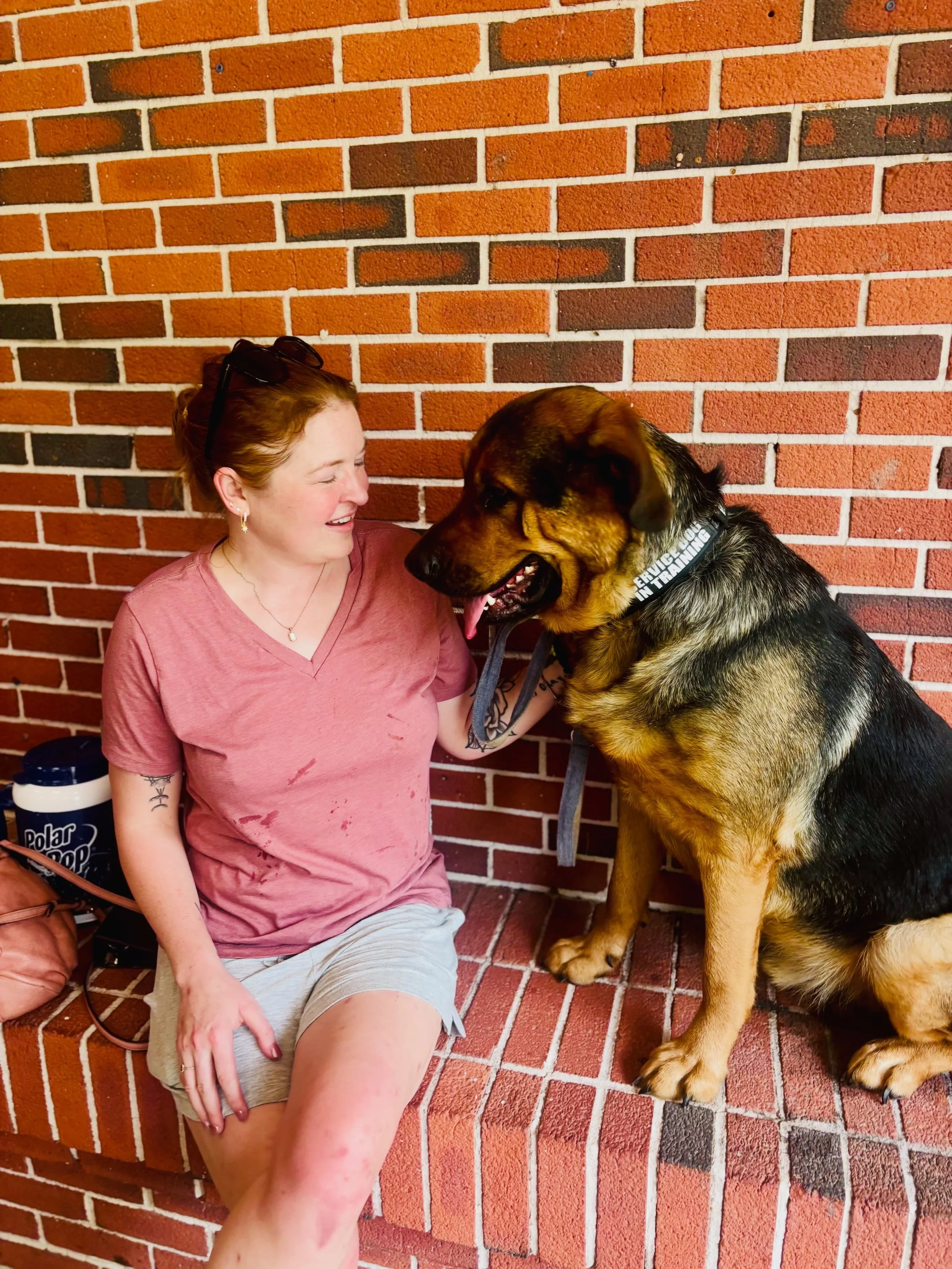 Just a couple of collegiate kids again xx

#washingtonuniversityinstlouis #wustl #genderstudies #womensstudies #servicedogs