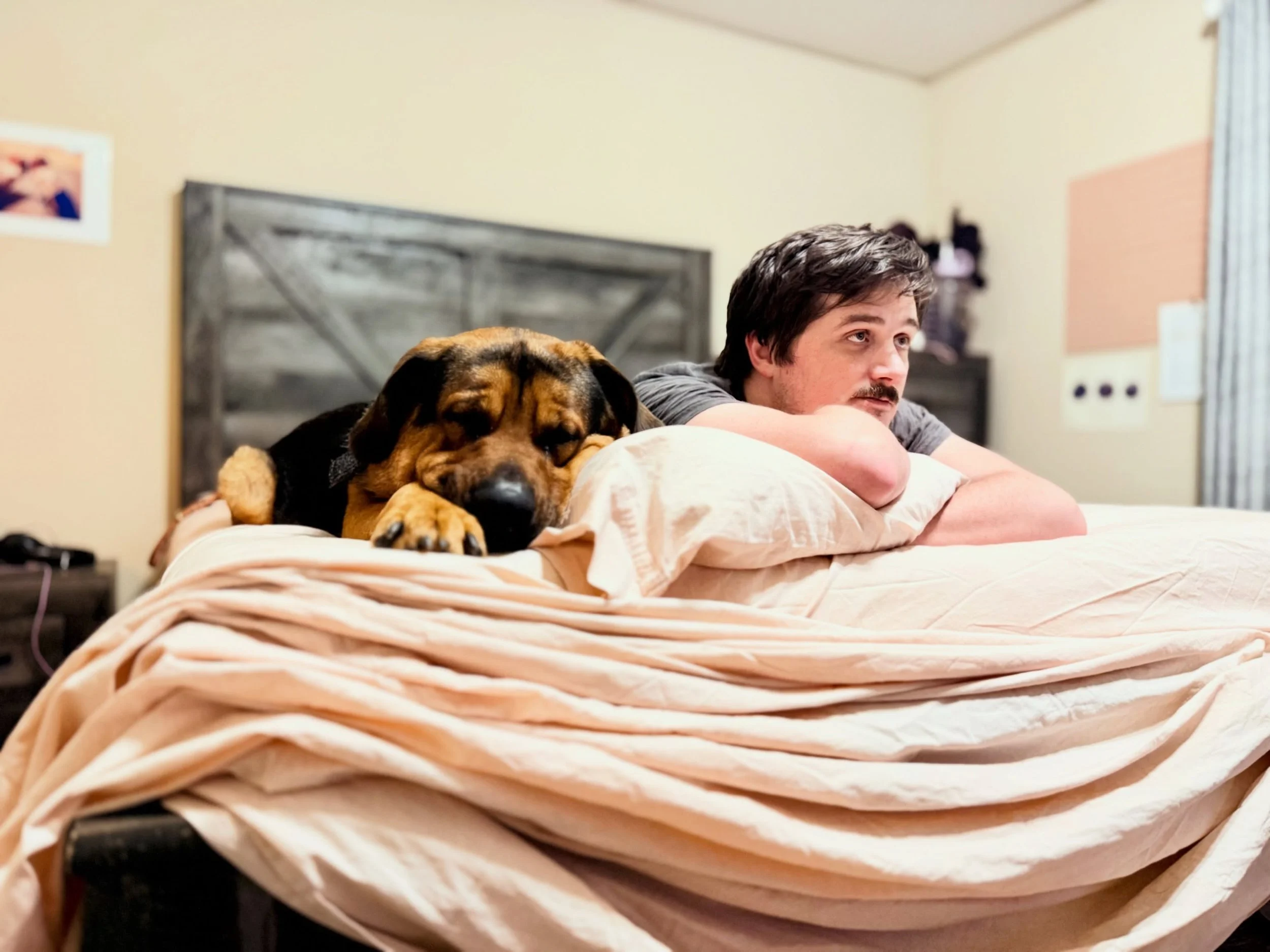 Two of my (now three &hearts;️ cuz I surprisingly like his kid wtf who am I?) boys being adorable AF last night.

🐾

#shelterdog #servicedog #bestboyfriend #doglove #studiodog