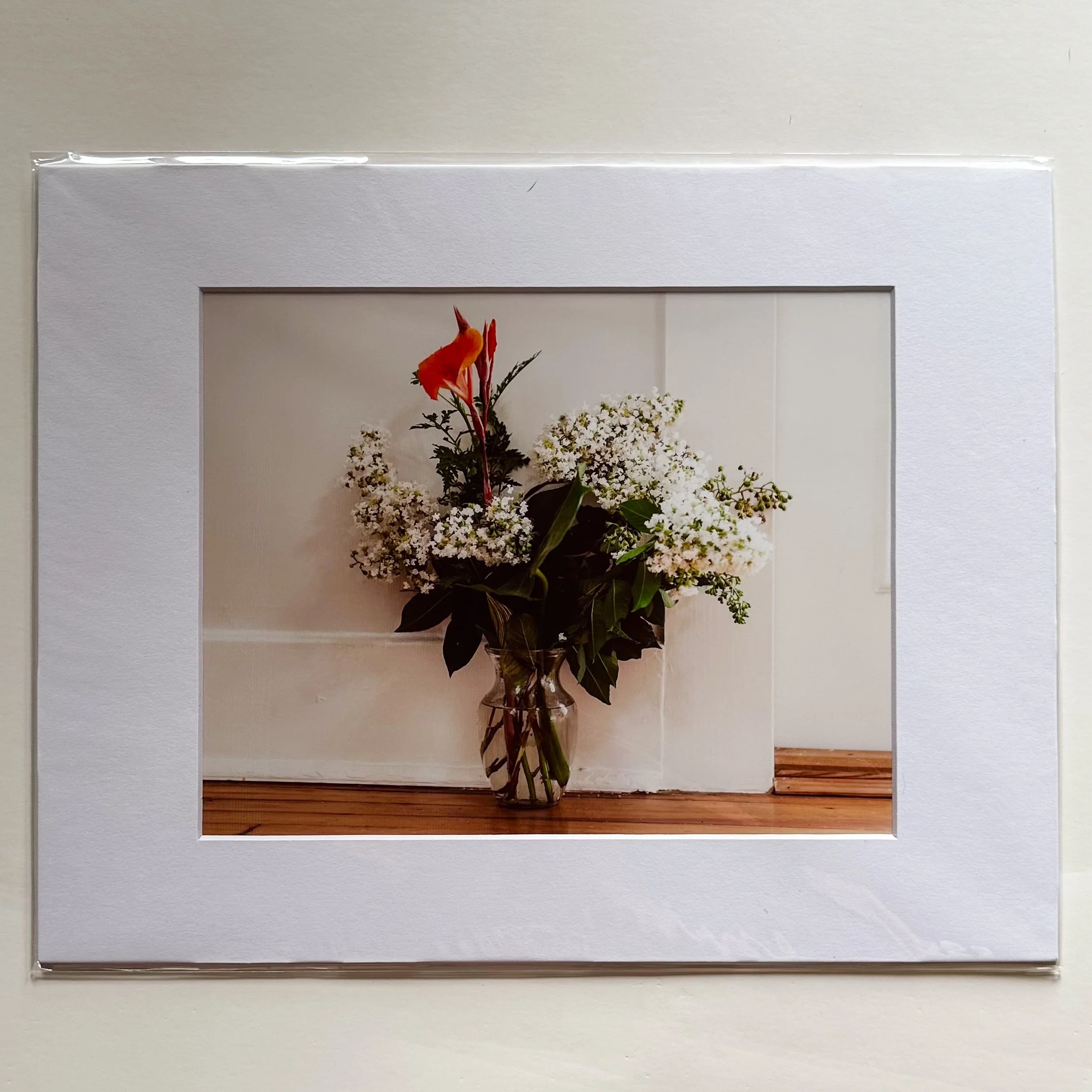 Film Photograph (Montgomery, AL)