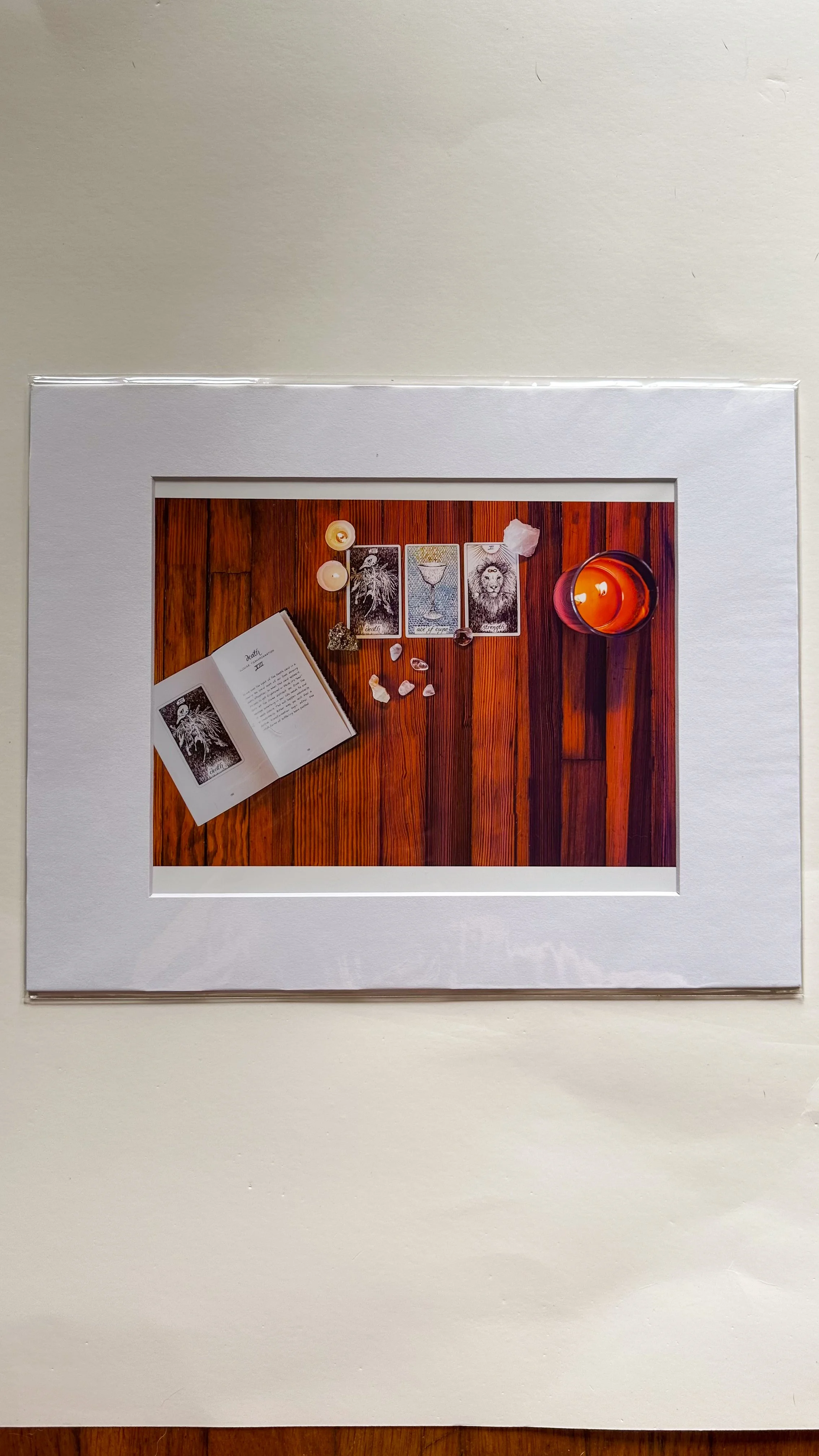 Film Photograph (Birmingham, AL)