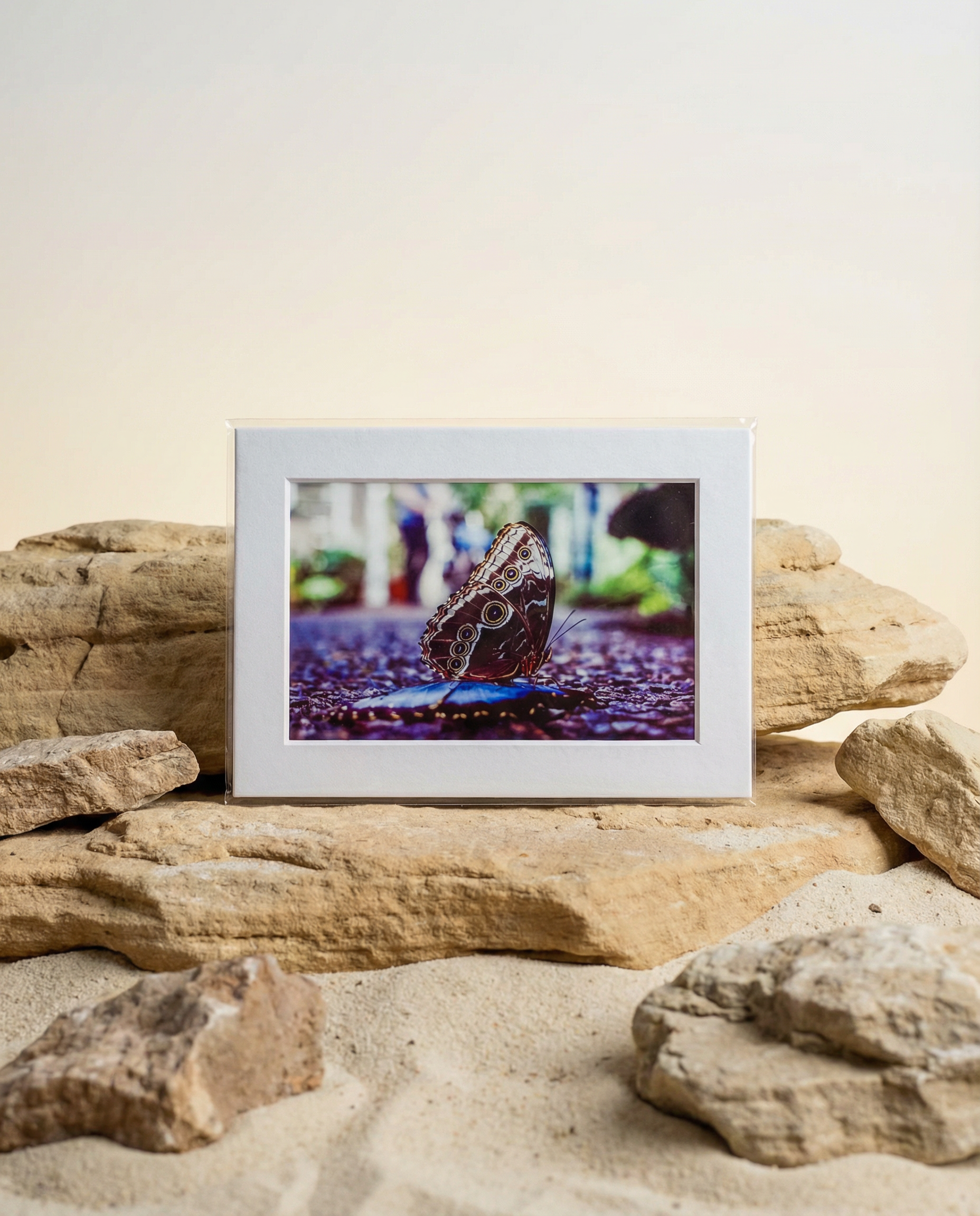 Film Photograph (Saint Louis, MO)