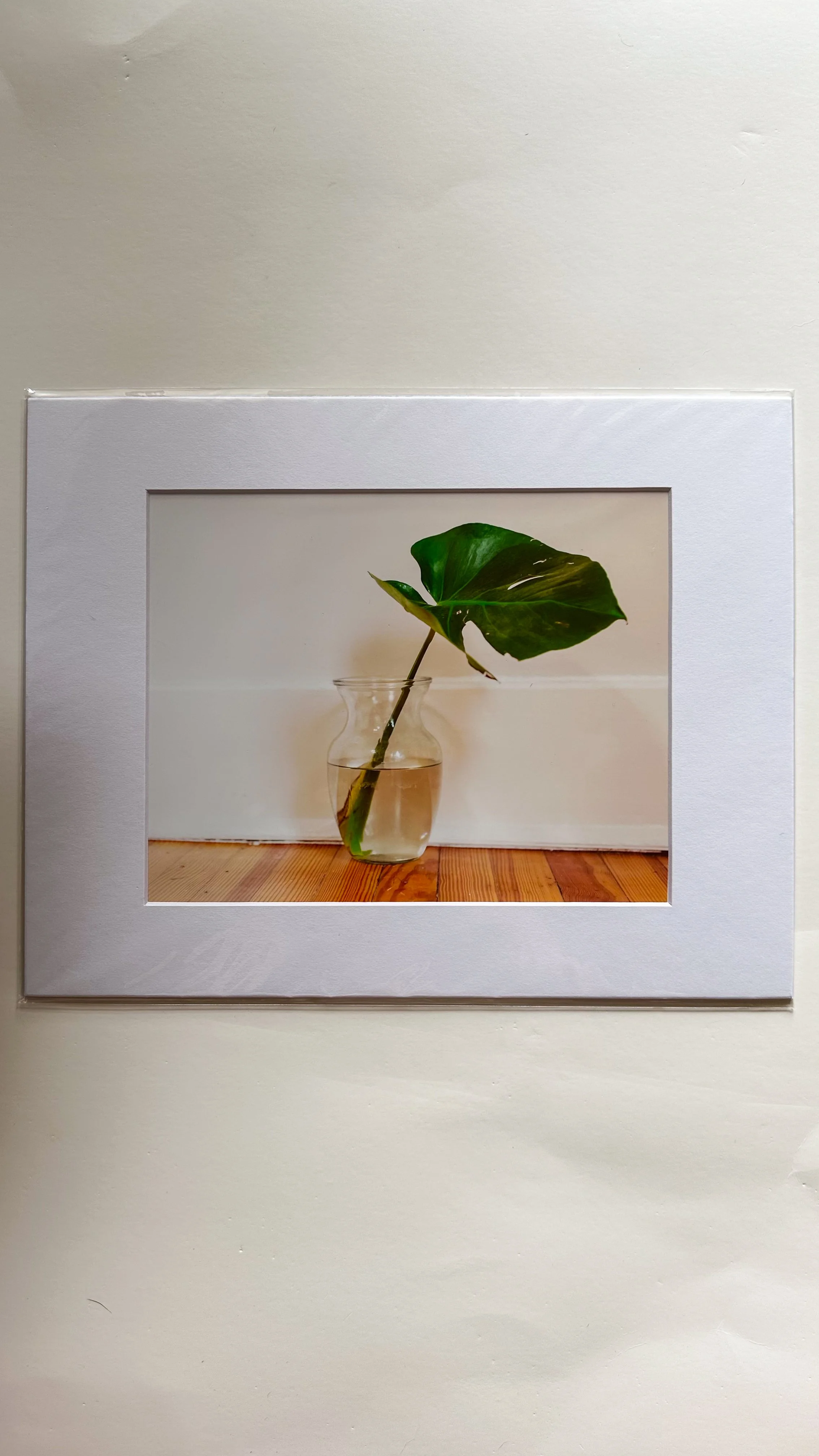 Film Photograph (Montgomery, AL)