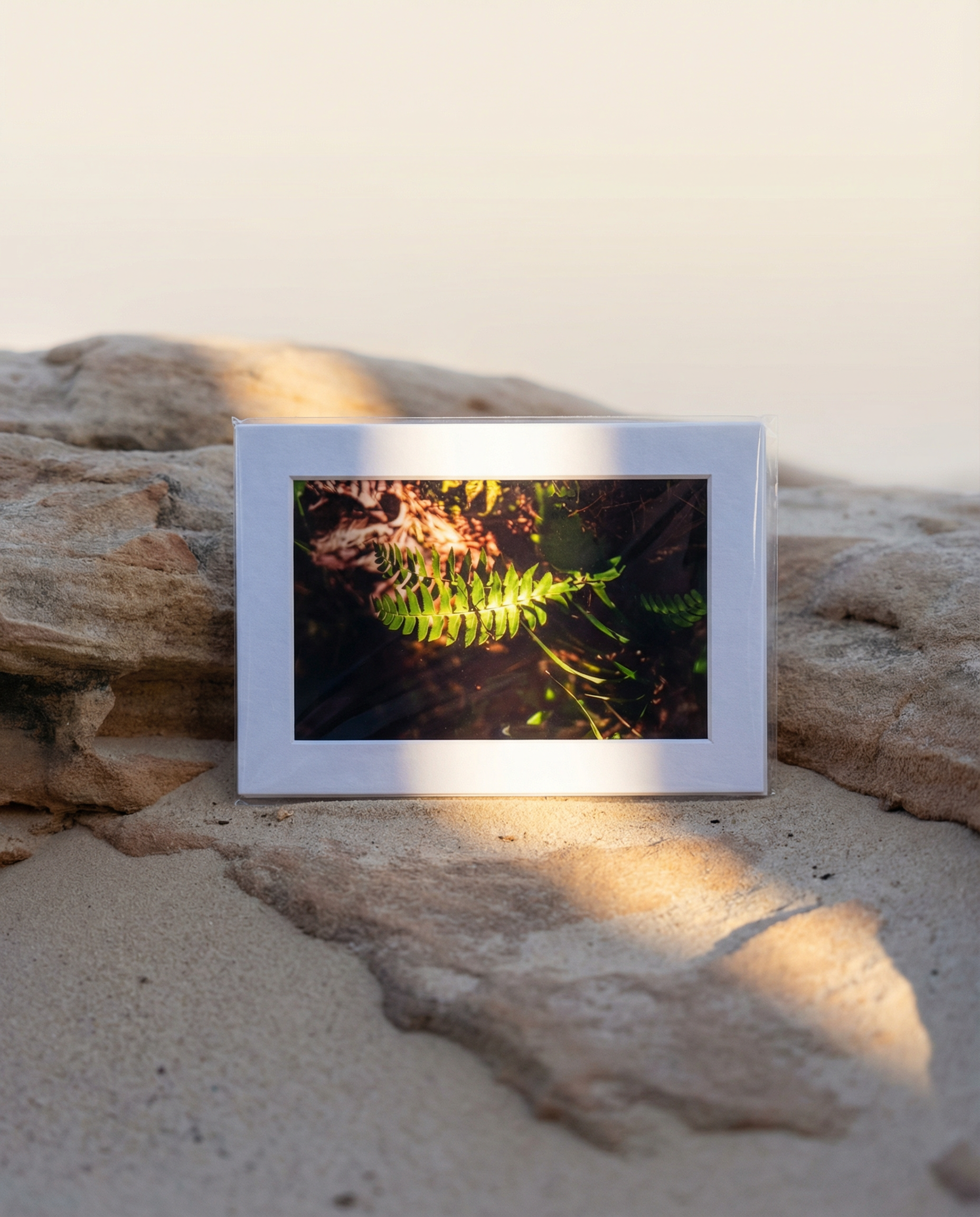 Film Photograph (Somewhere In AL)