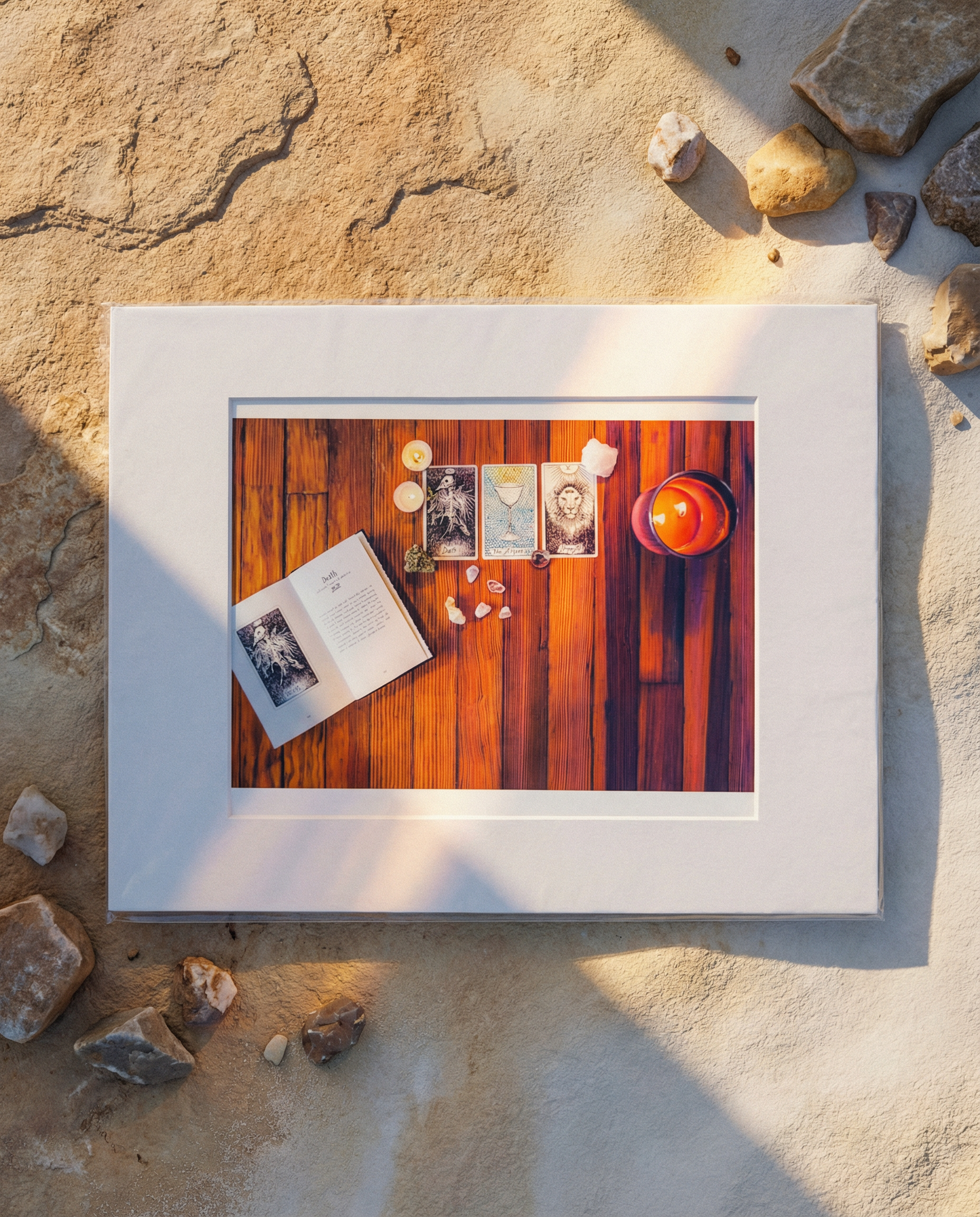 Film Photograph (Birmingham, AL)