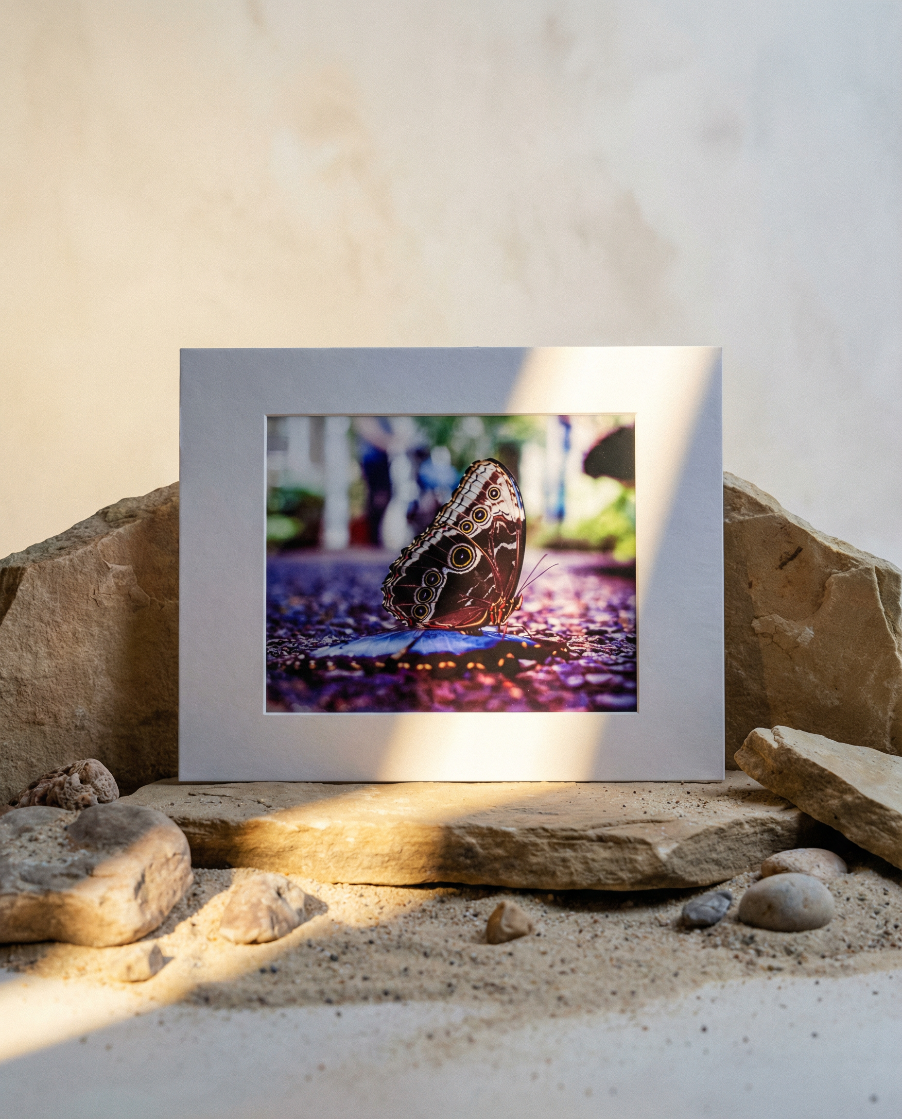 Film Photograph (Saint Louis, MO)