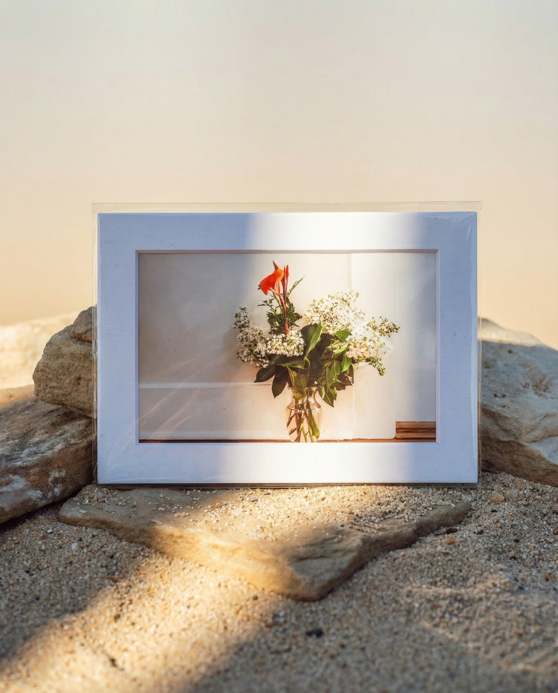 Film Photograph (Montgomery, AL)