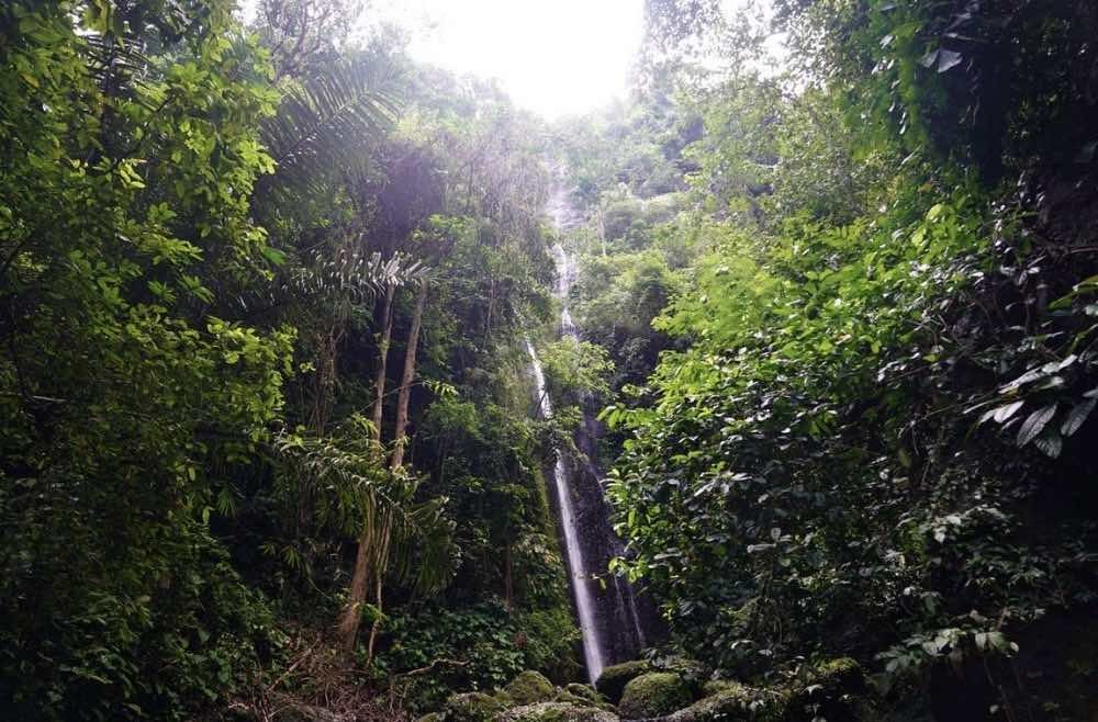 Yeh Labuh Waterfall Bali