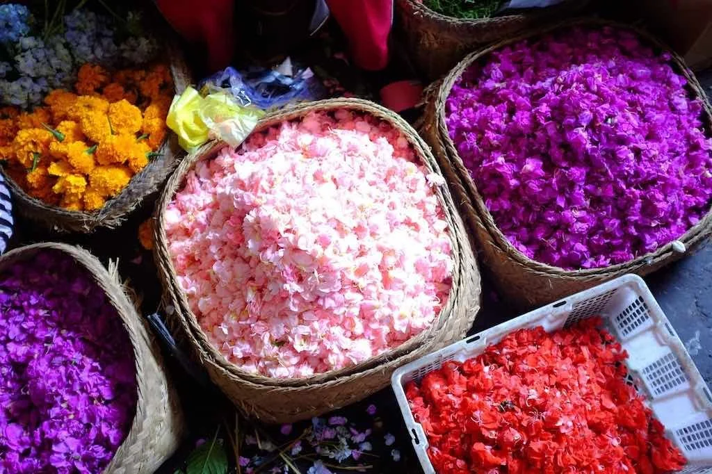 Bedugul Market flowers