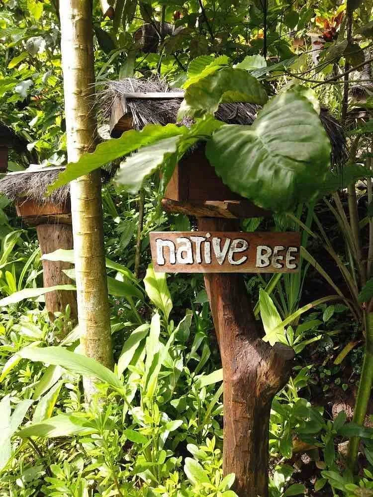 Honey Bee Farm Bali