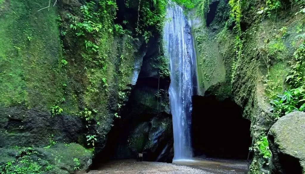 Goa Raja Waterfall Bali