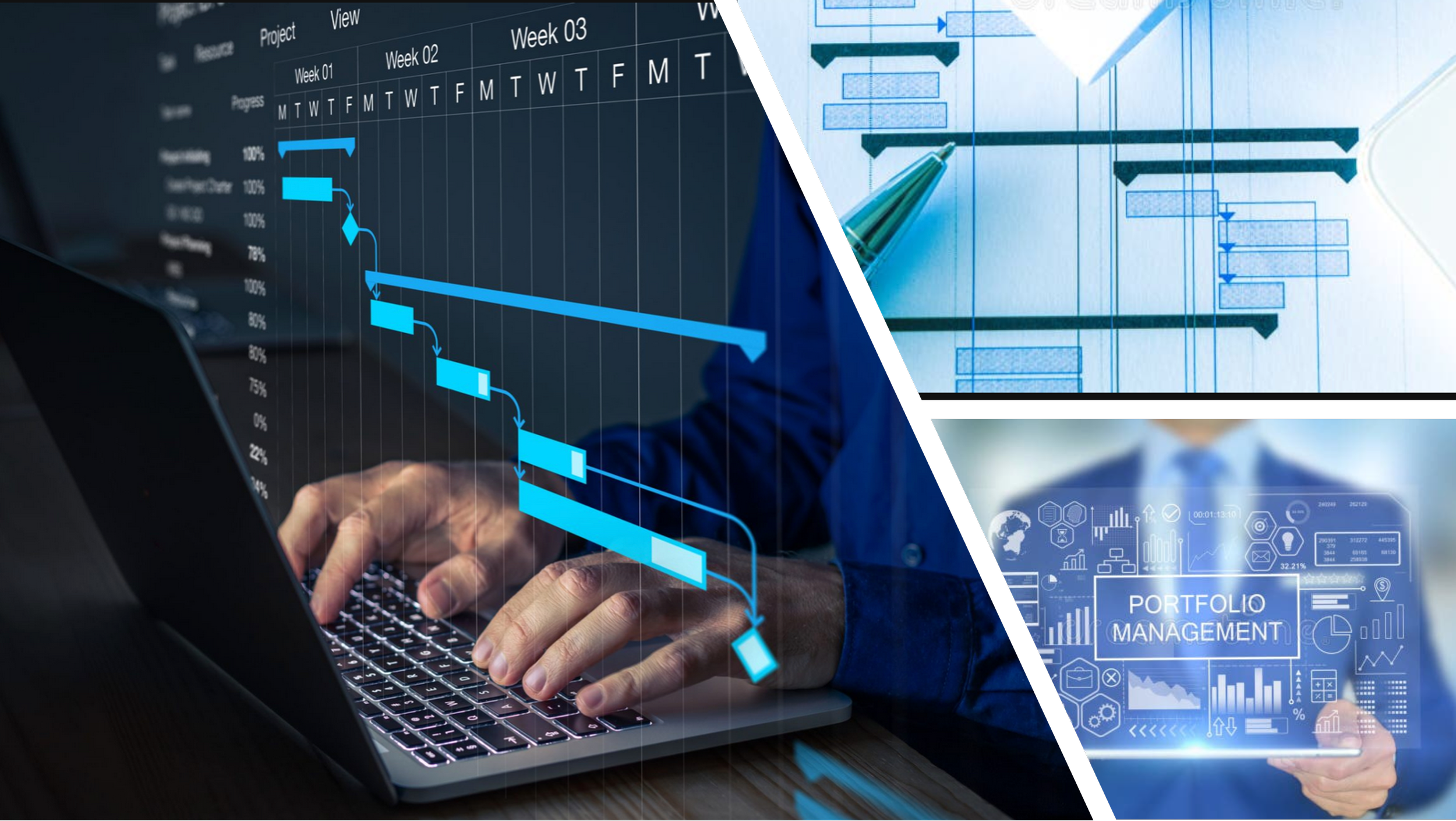 Program & Portfolio Management