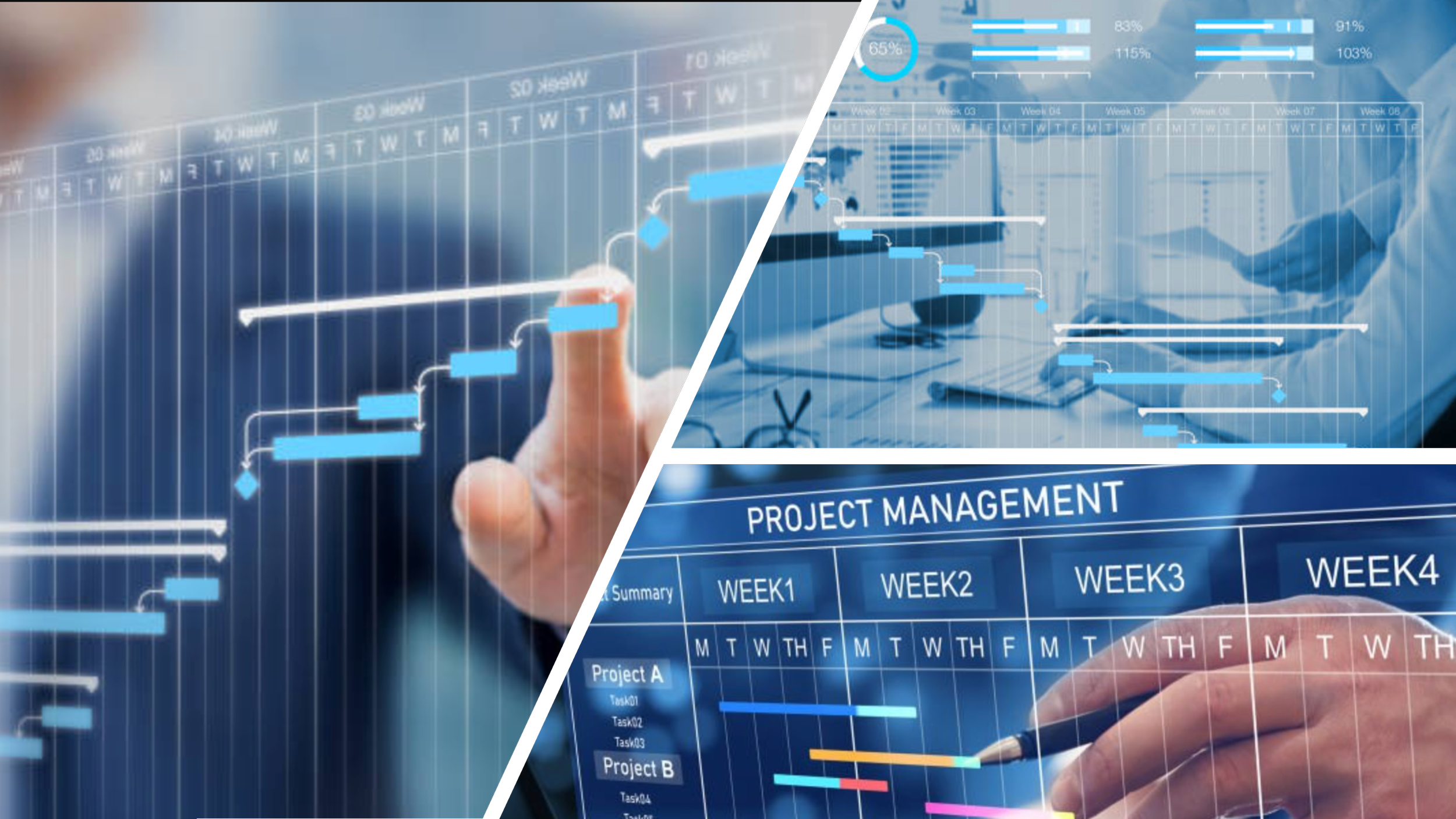 Project Management Office (PMO)