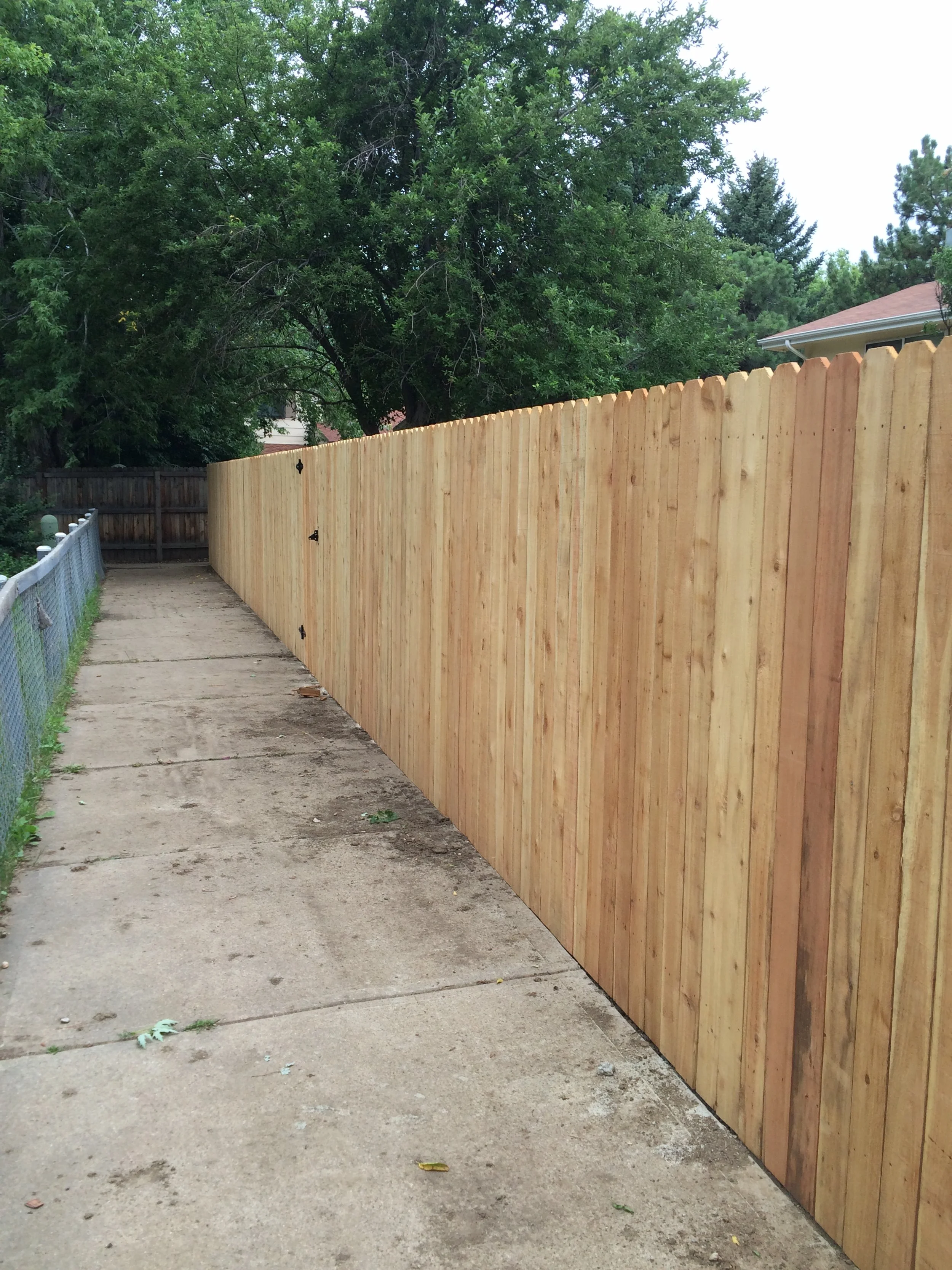 Cedar Privacy.JPG