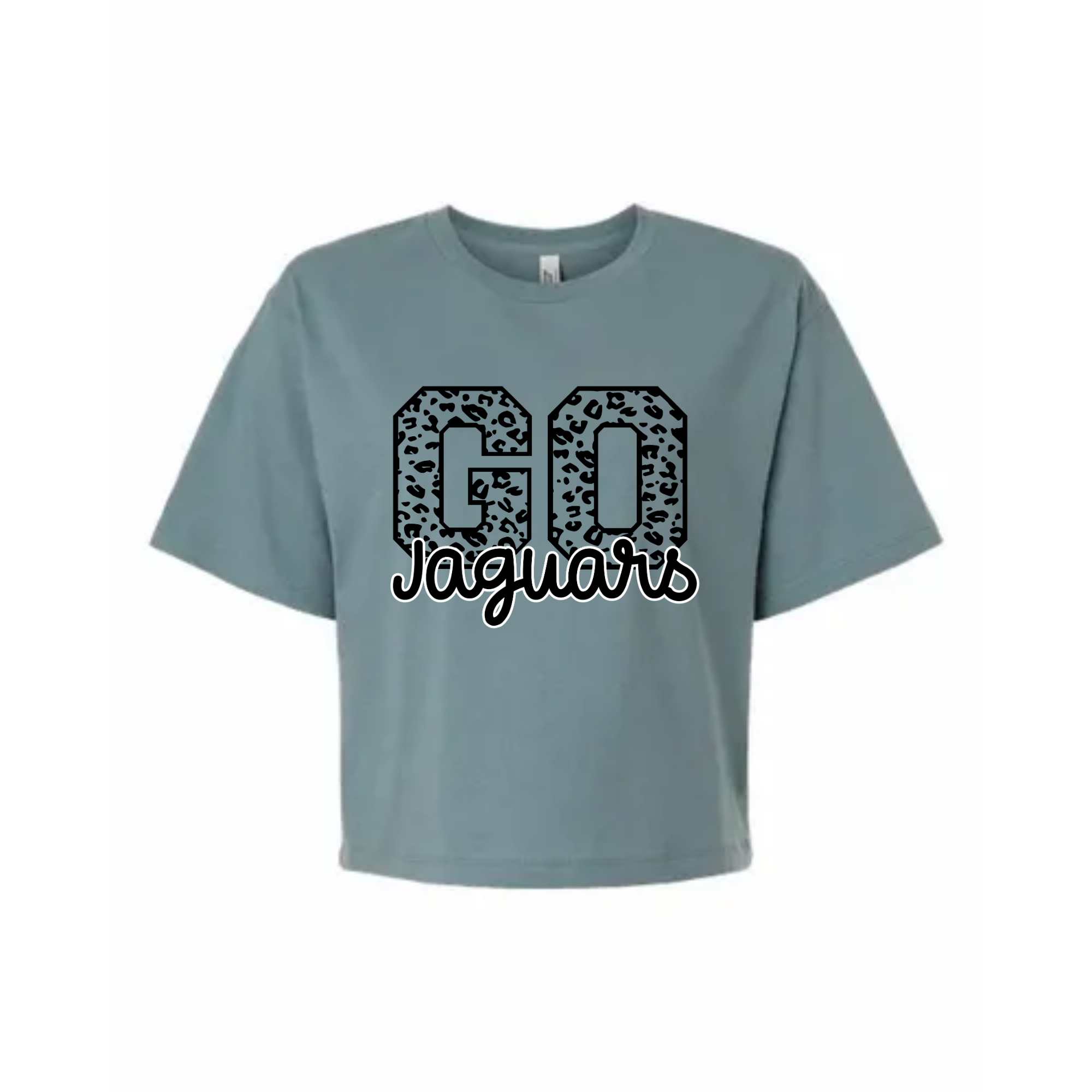 GoJaguars-Grey.PNG