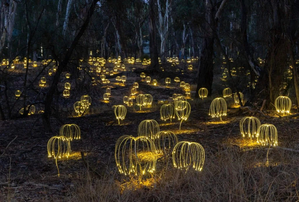Group of friends outdoors at sunset, raising glasses of red wine in a toast, smiling and enjoying each other's company, with a table of vegetables in front of them.