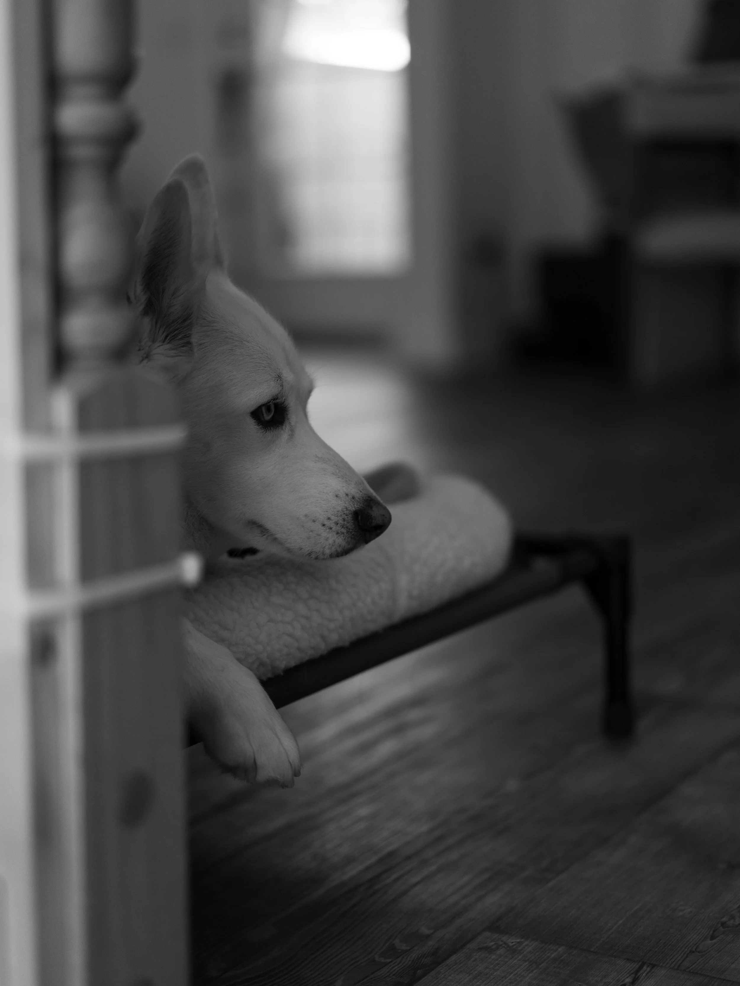 DSC08839.jpg
