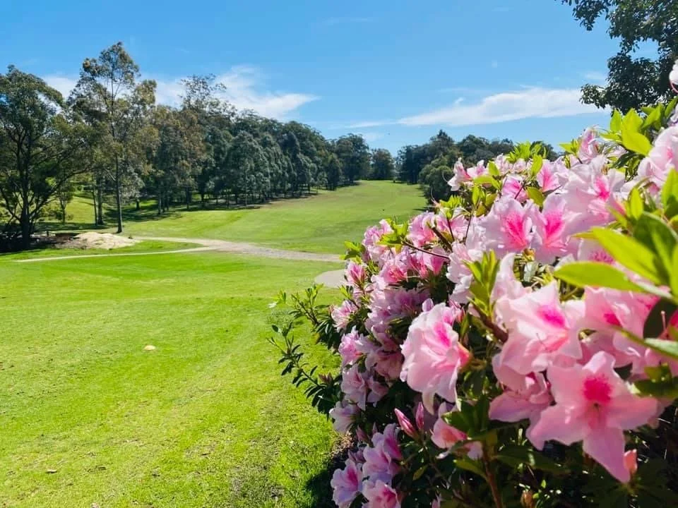 A golf course with green grass, trees in the background, a blue sky with some clouds, and pink flowers in the foreground on the right side.