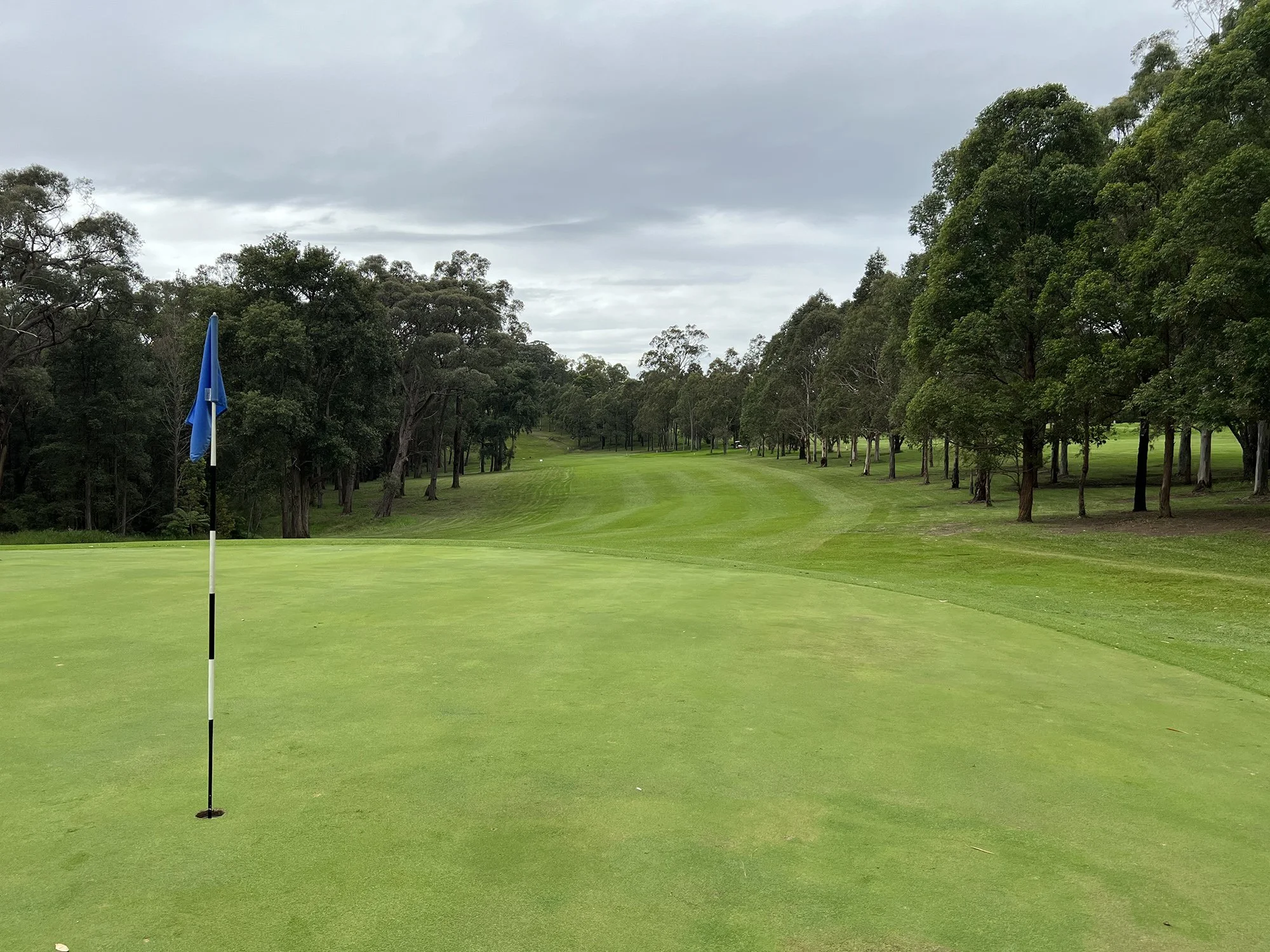 A golf course green with a blue flag, surrounded by trees under an overcast sky.