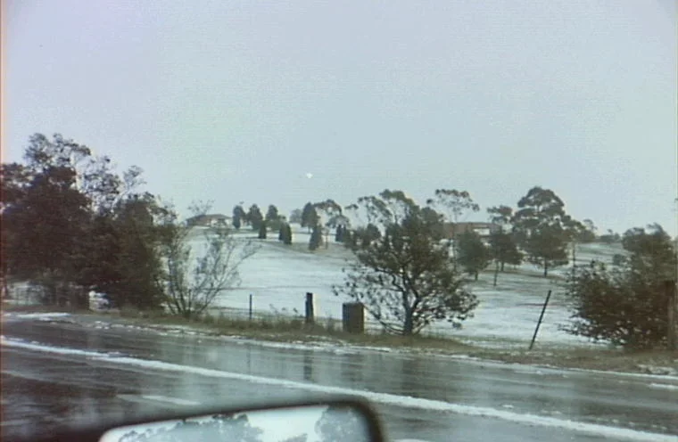 A black and white landscape viewed from inside a car, showing trees, a fence, and a road with reflective wet patches.