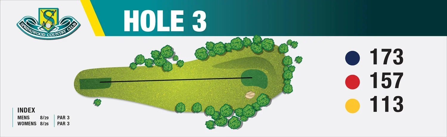 Map of Hole 3 at Springwood Country Club showing the layout and distances: 173 yards in blue, 157 yards in red, and 113 yards in yellow, with surrounding trees and the fairway layout.